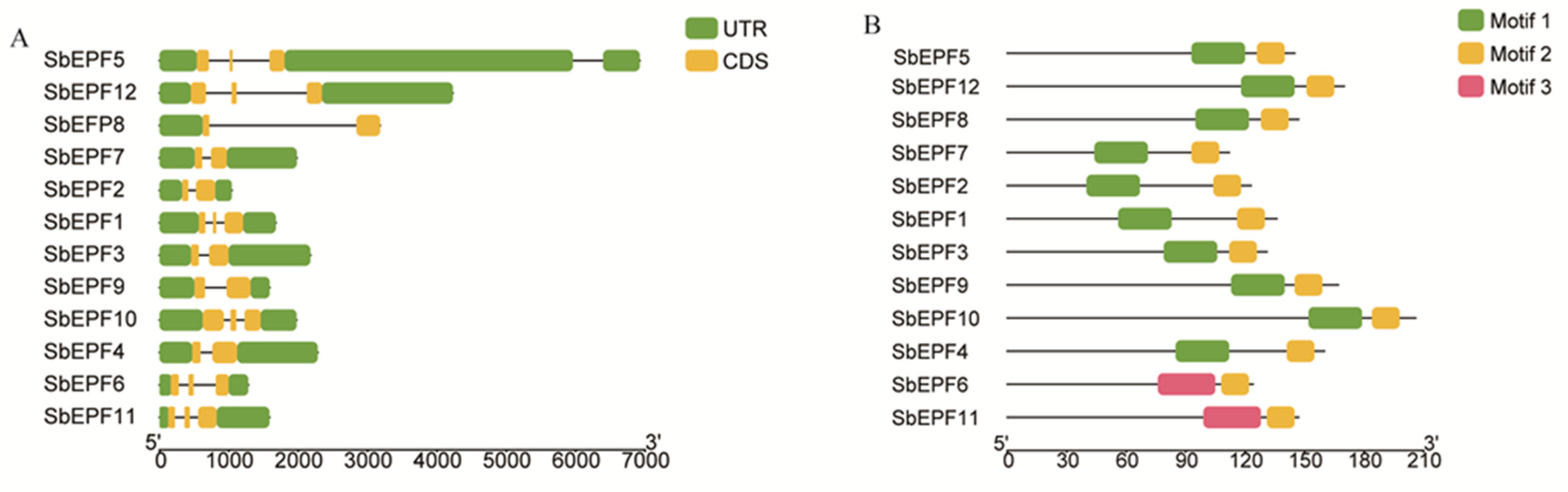Plants 12 03912 g004
