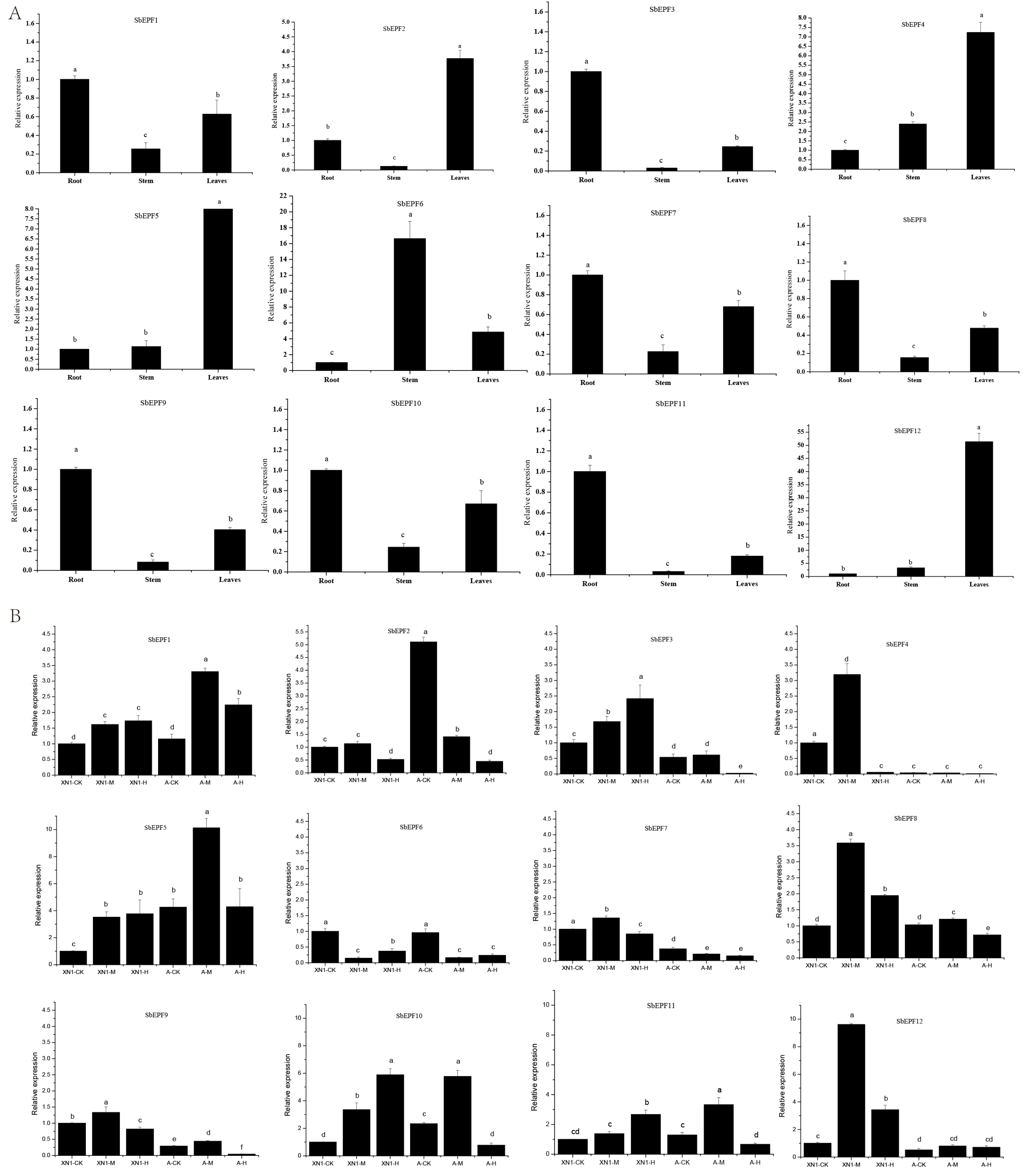 Plants 12 03912 g007