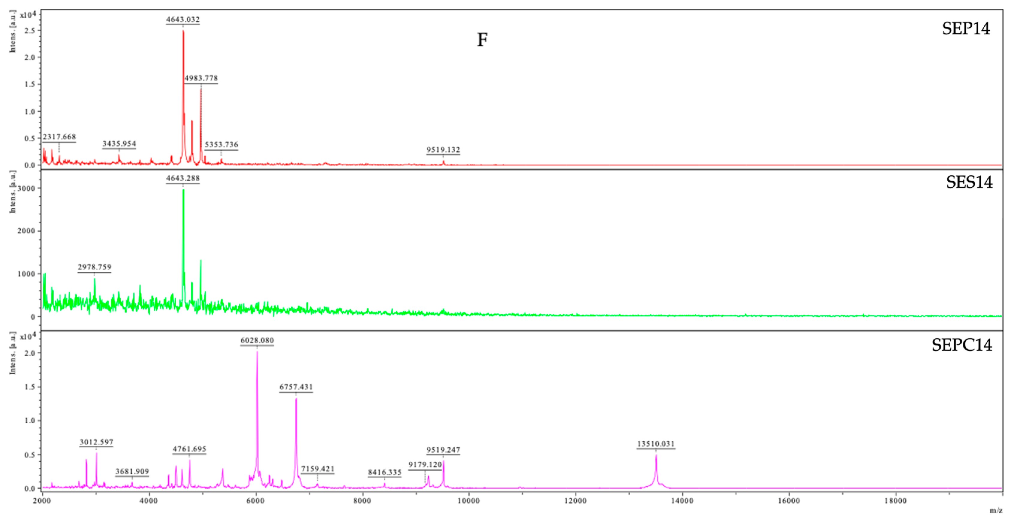 Plants 12 03920 g001c