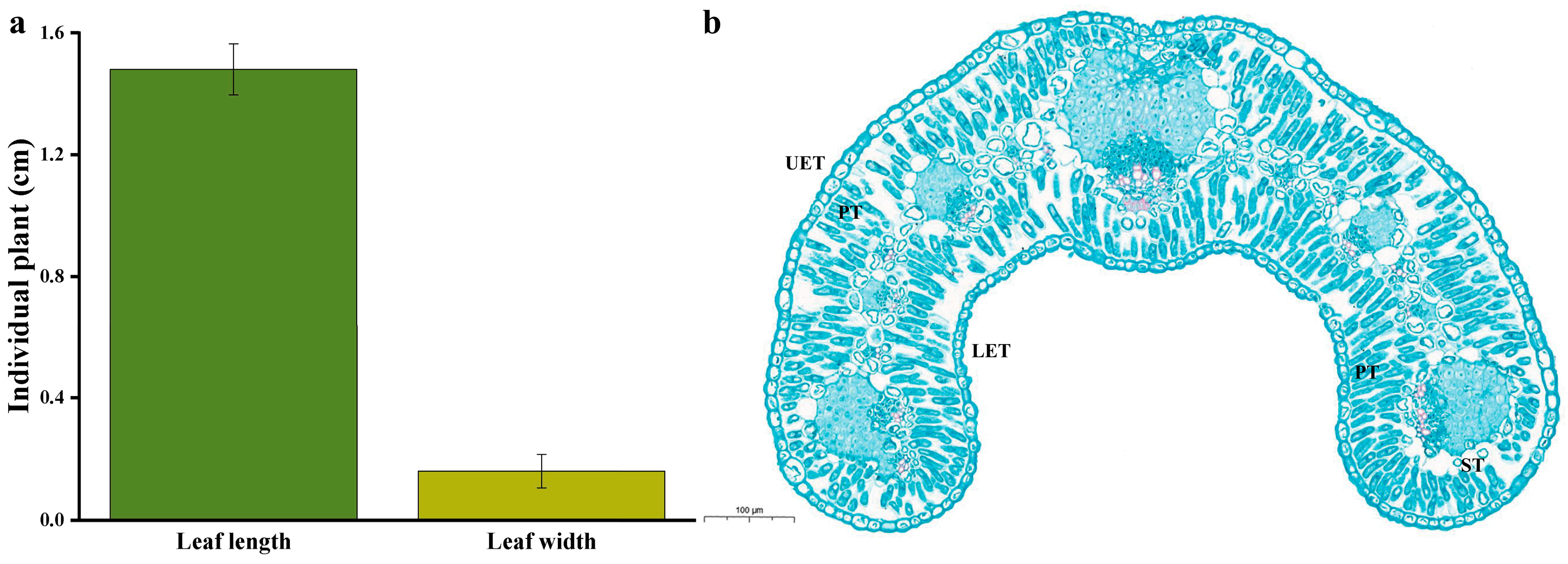 Plants 12 03922 g002