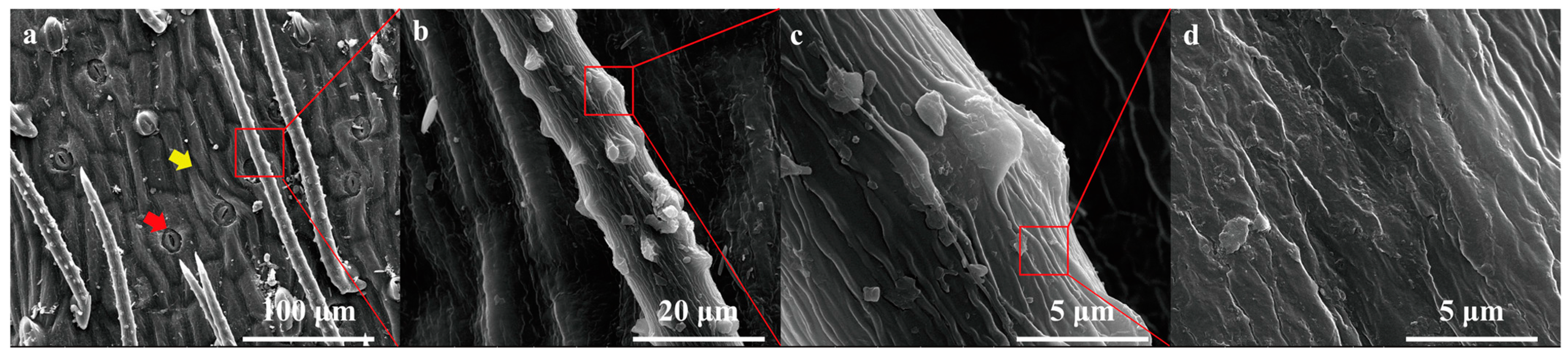 Plants 12 03922 g003