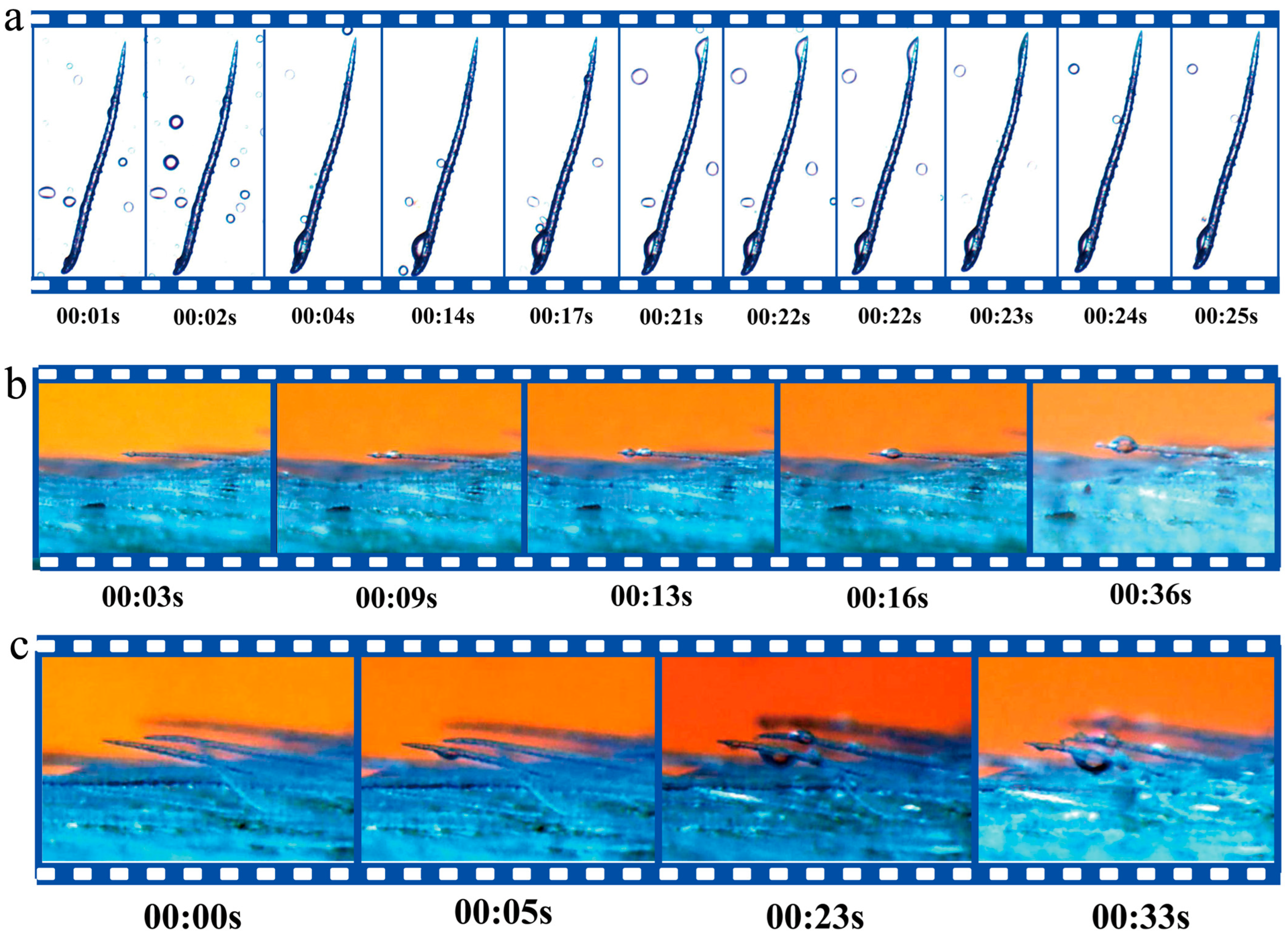 Plants 12 03922 g004
