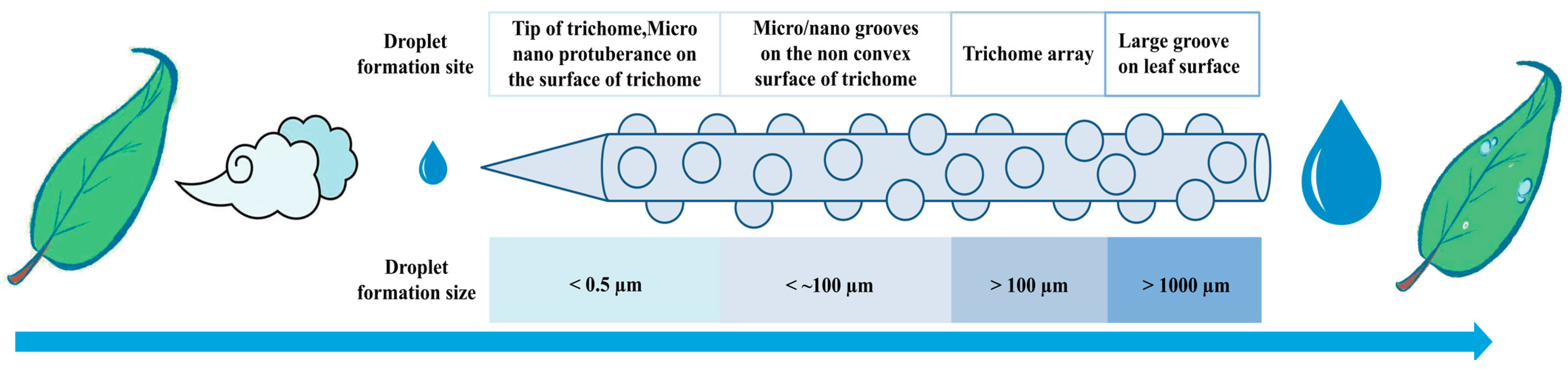Plants 12 03922 g005