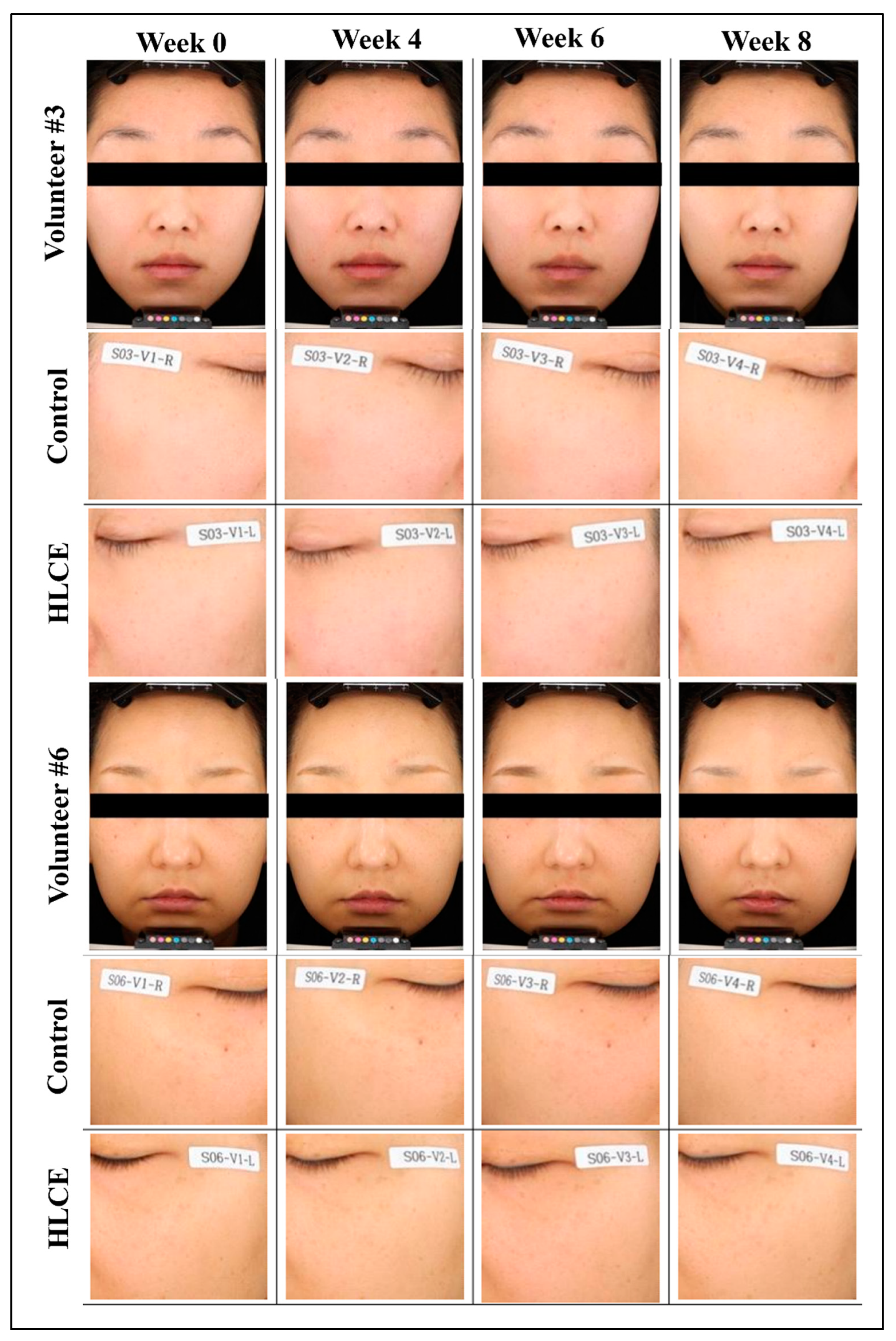 Plants 12 03923 g006