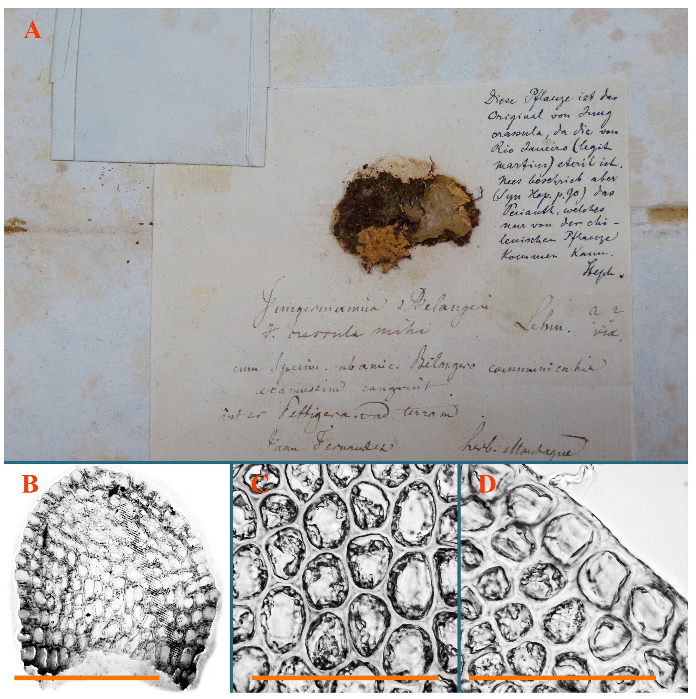 Plants 12 03935 g014