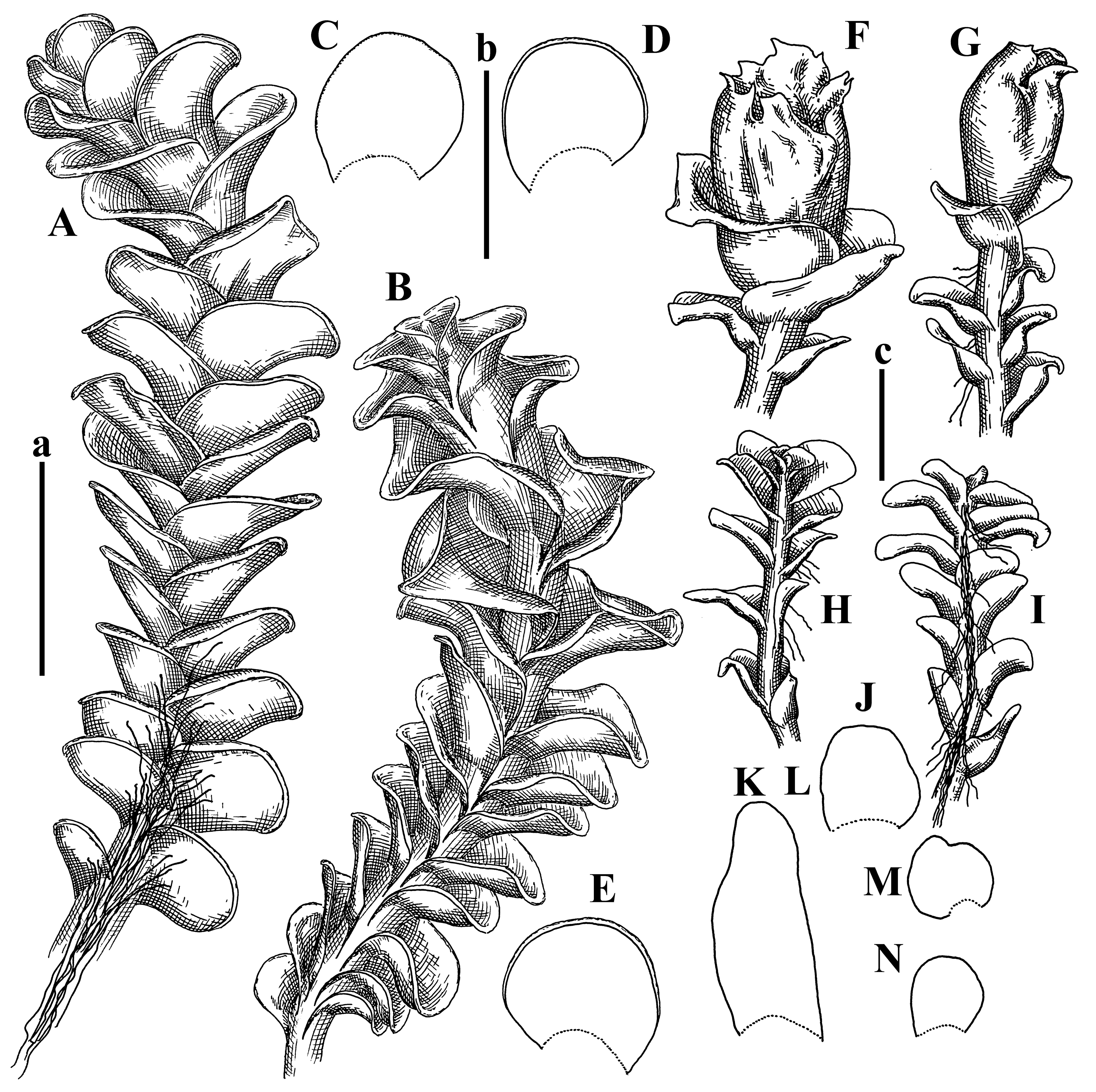 Plants 12 03935 g018