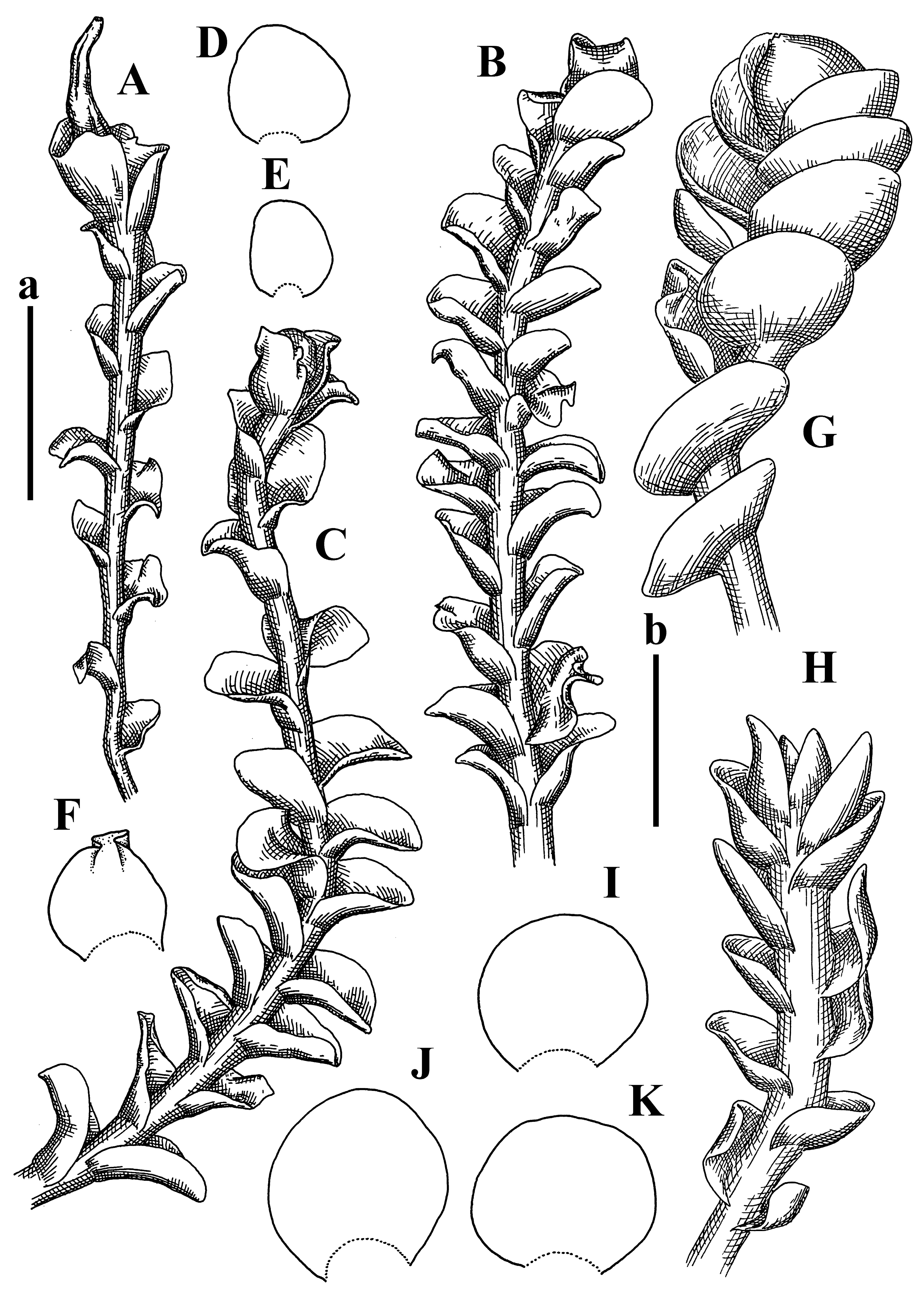 Plants 12 03935 g020