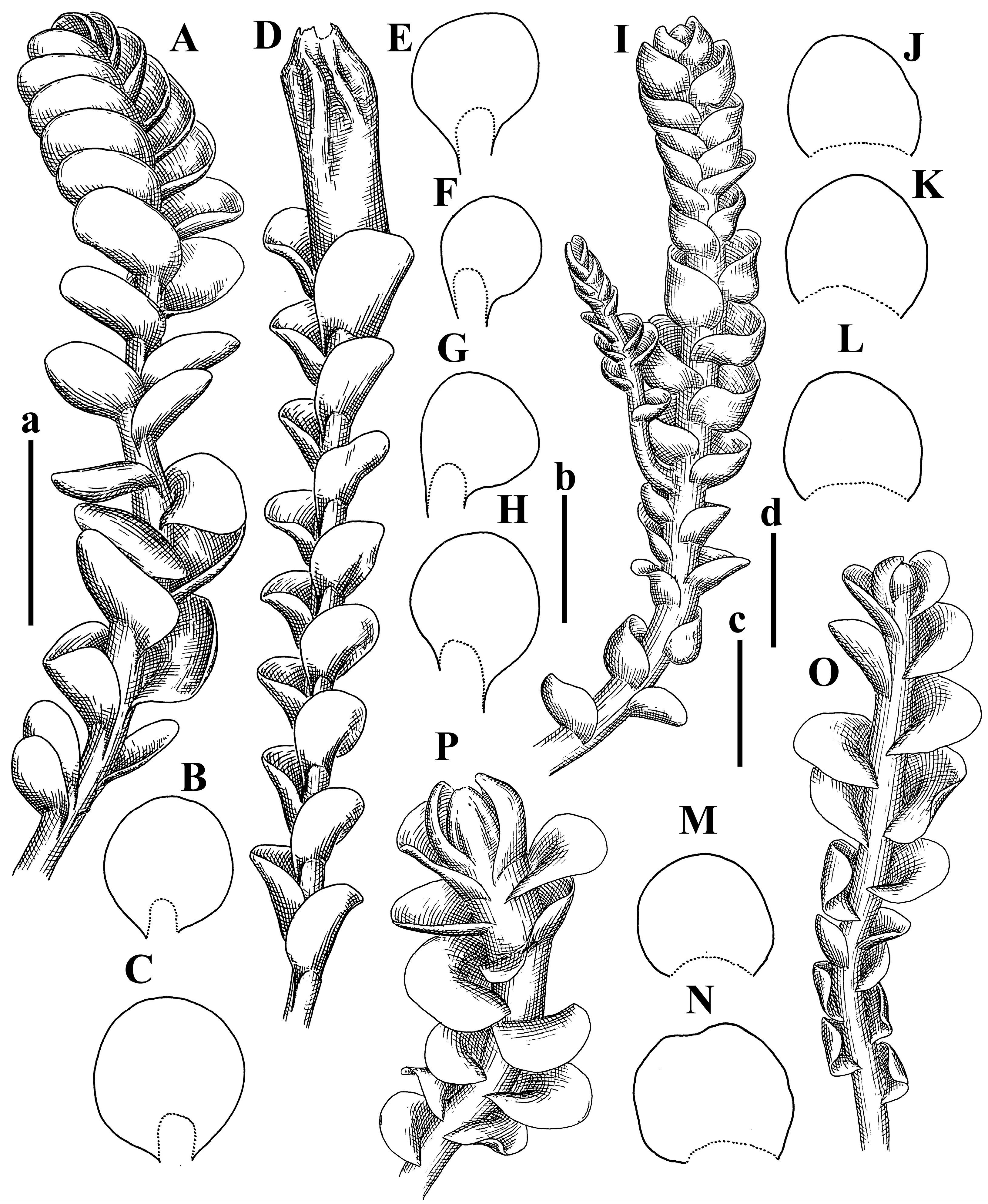 Plants 12 03935 g021