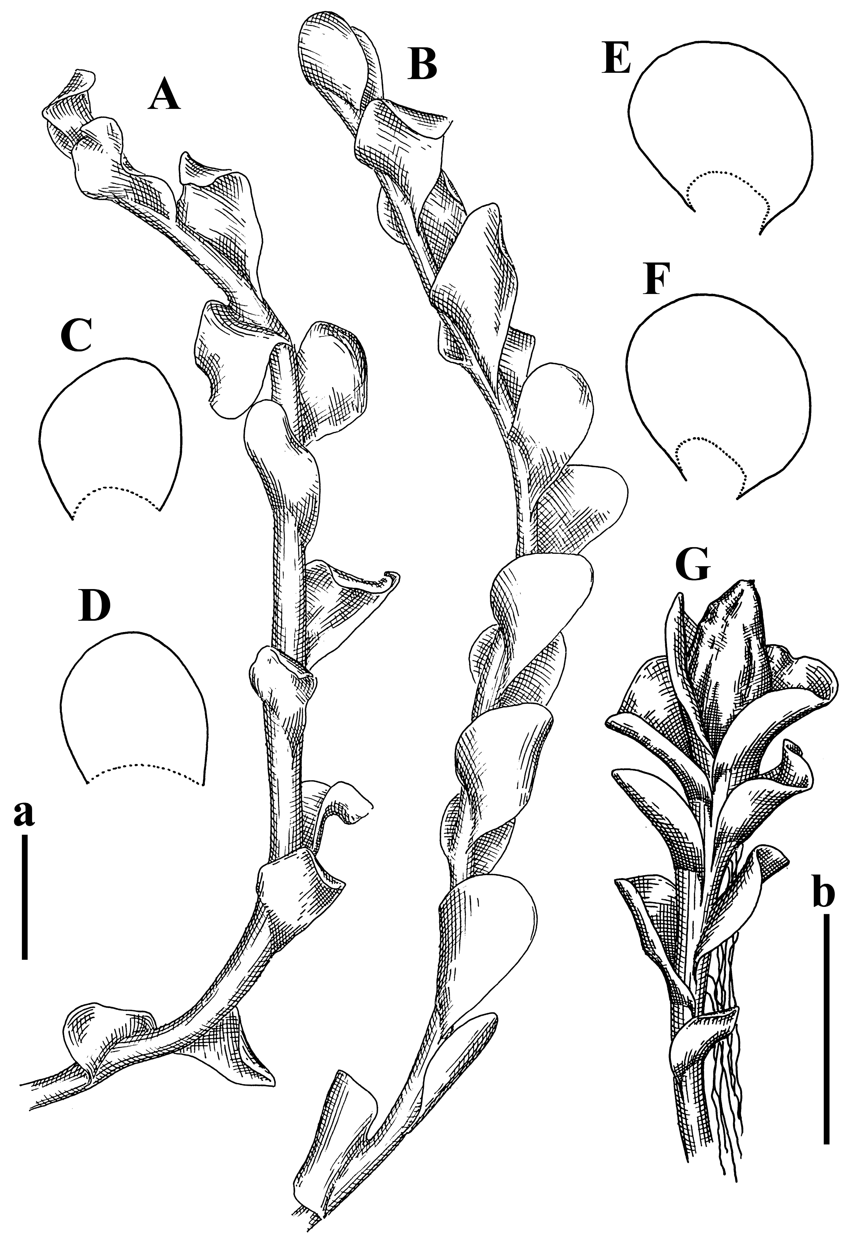 Plants 12 03935 g028