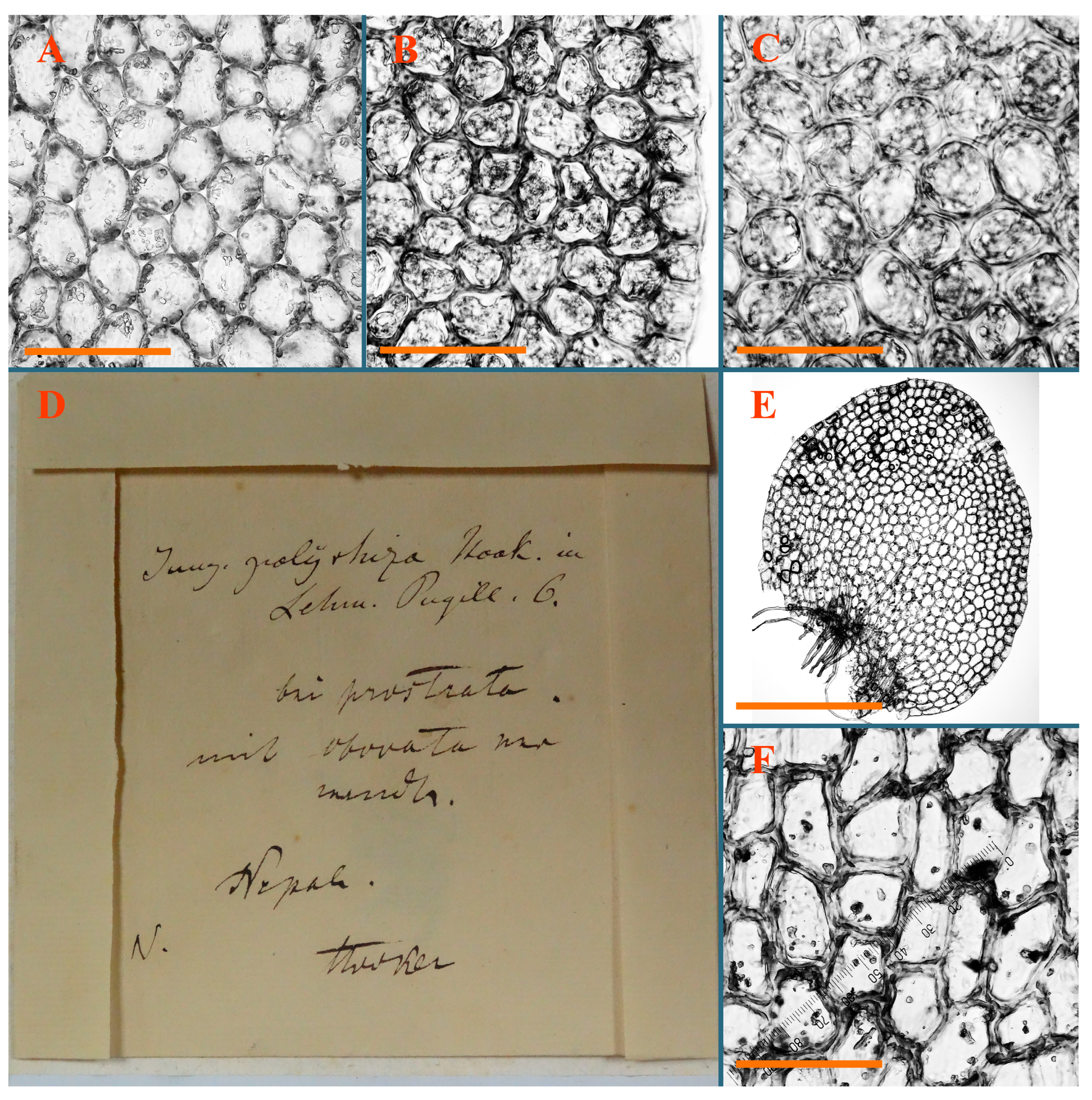 Plants 12 03935 g030