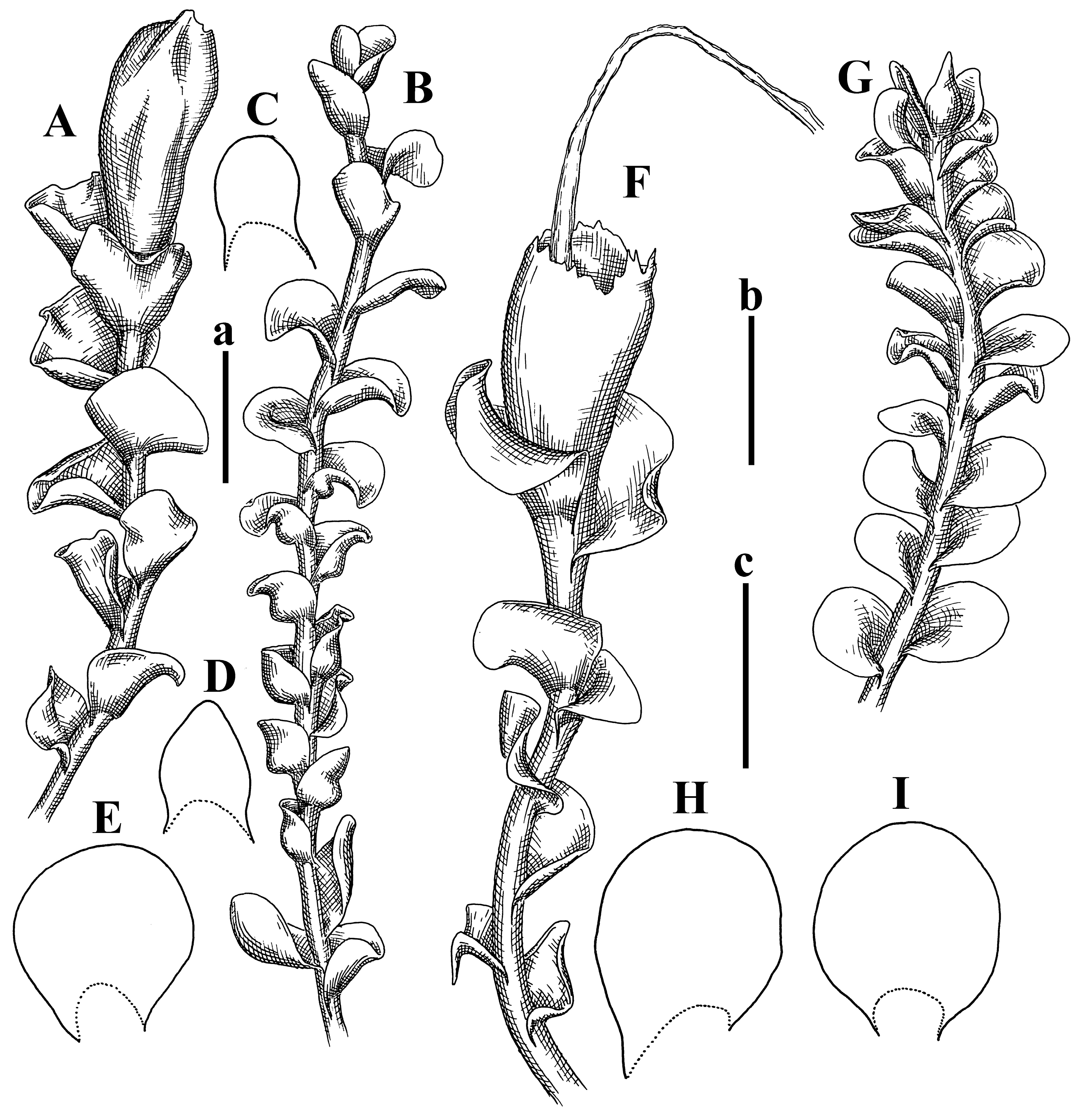 Plants 12 03935 g038