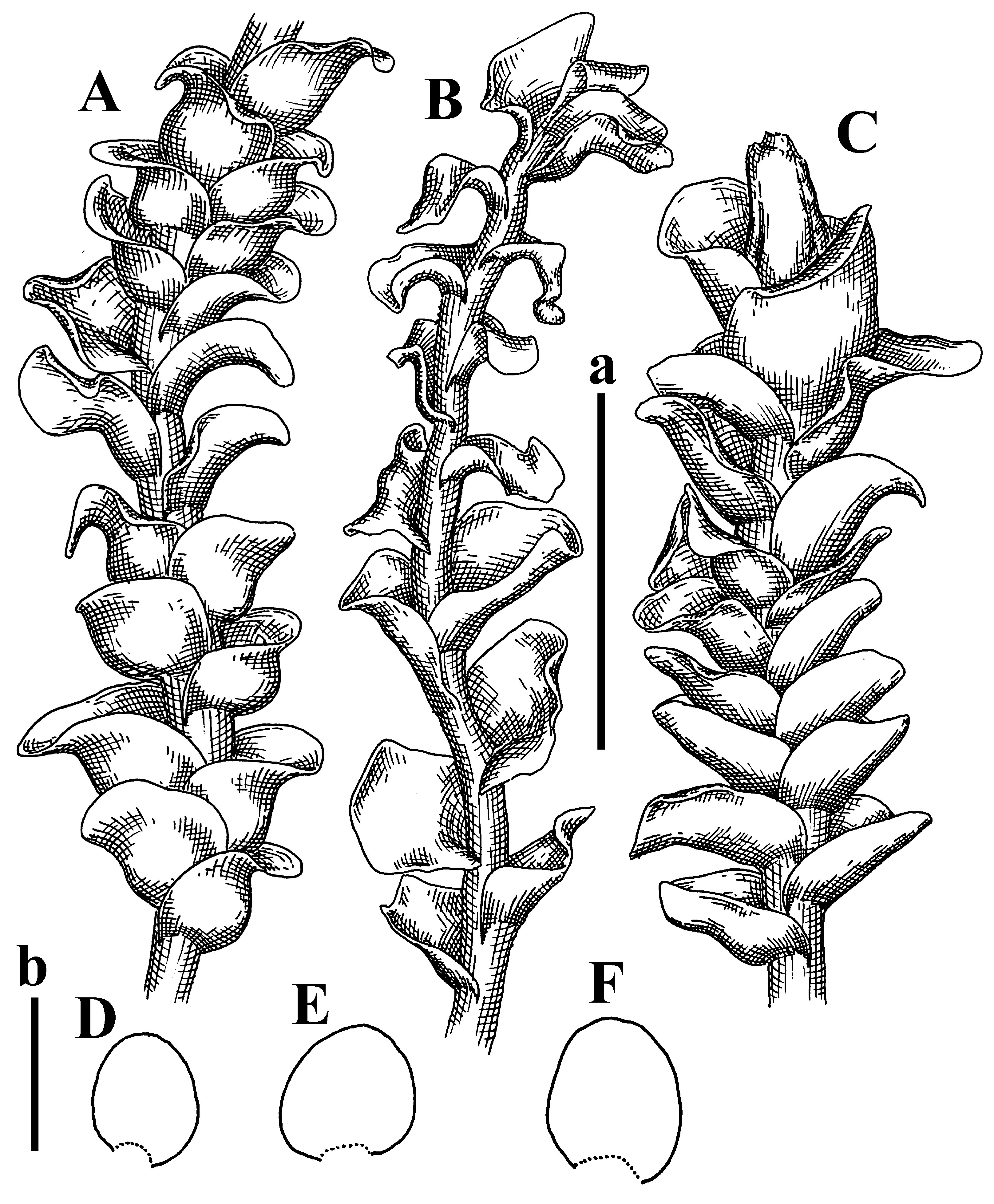 Plants 12 03935 g048