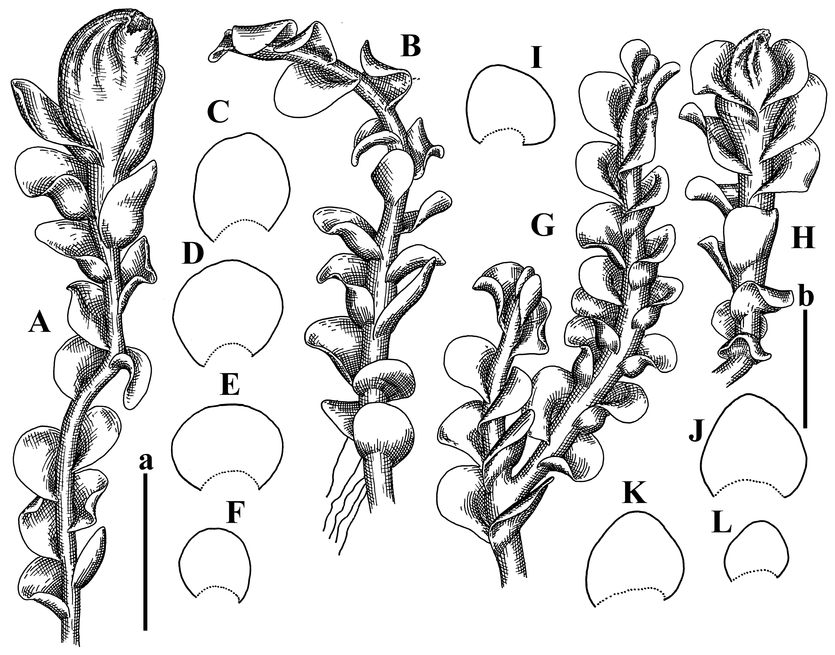 Plants 12 03935 g051