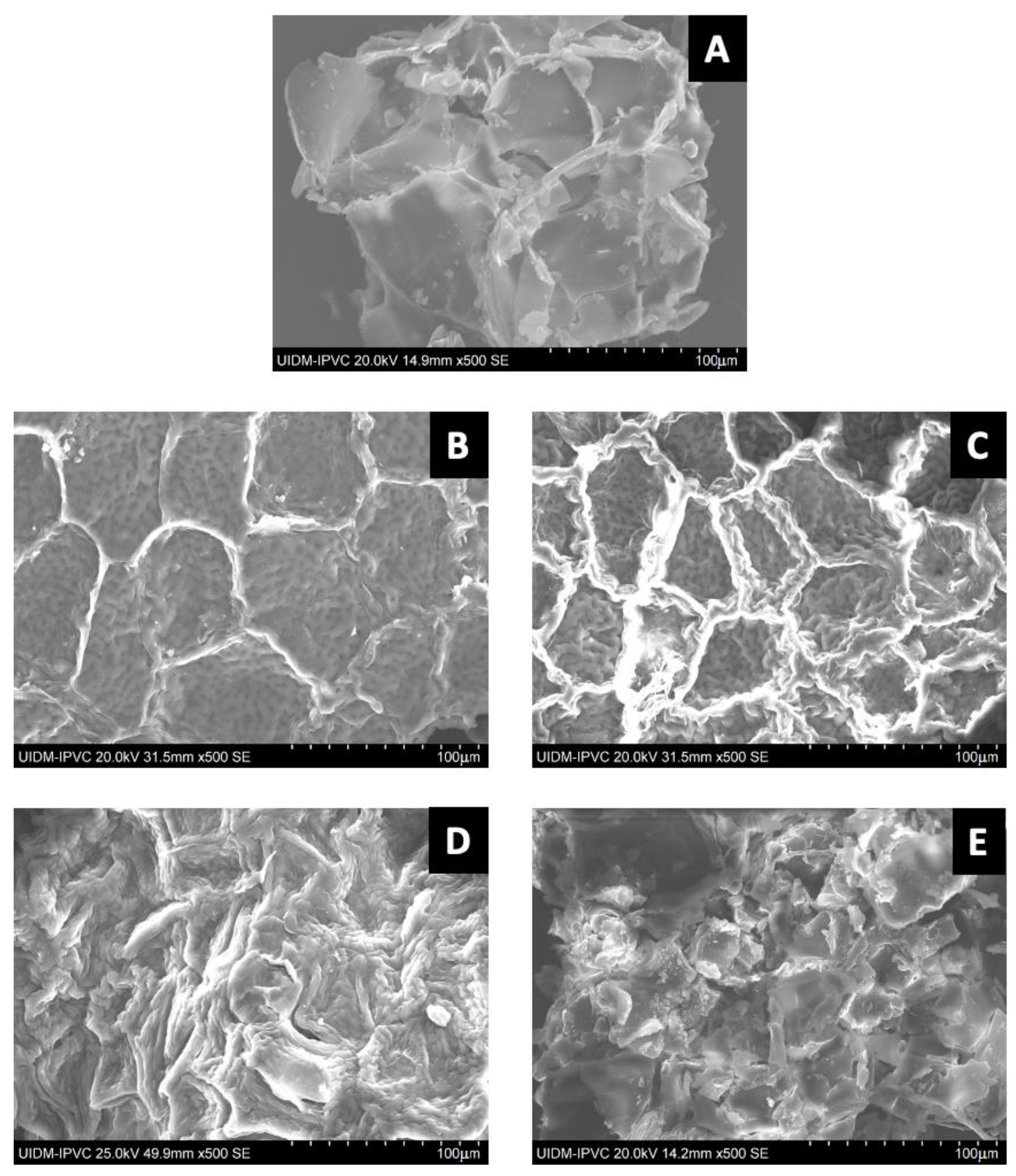 Plants 12 03940 g002