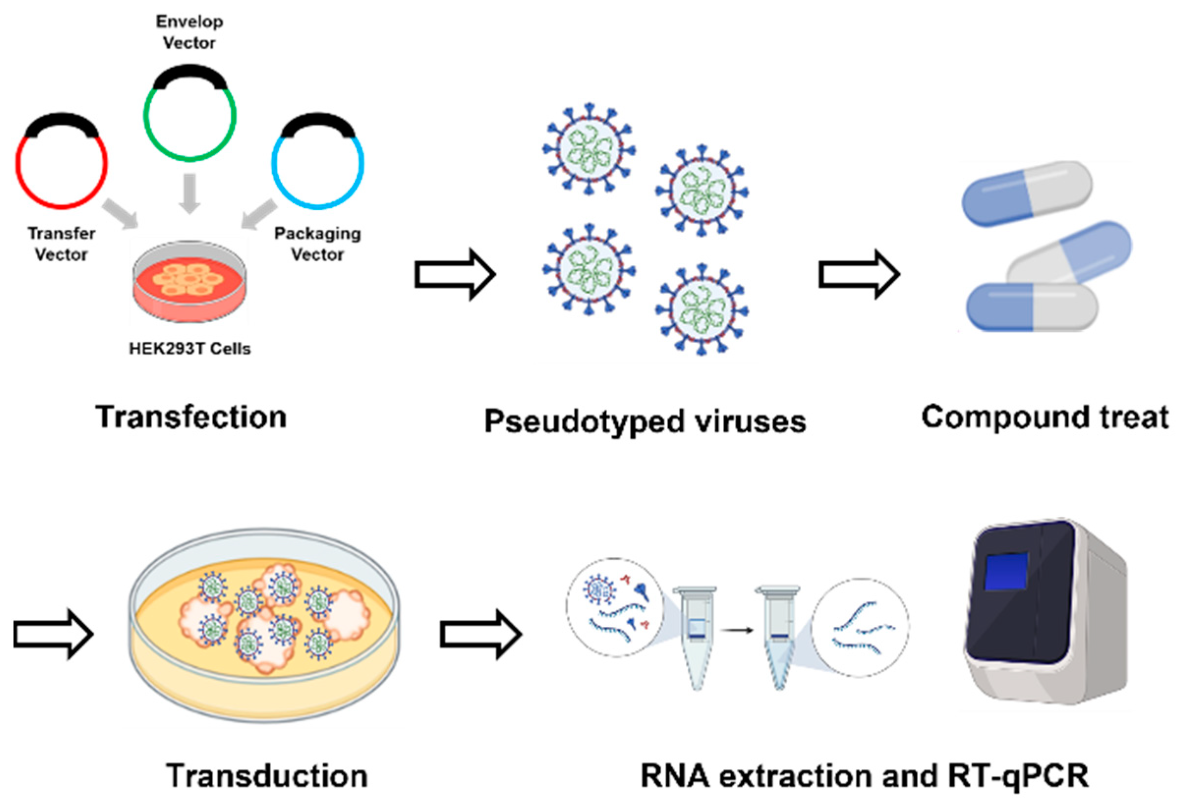 Plants 12 03942 g003 Plants 12 03942 g003