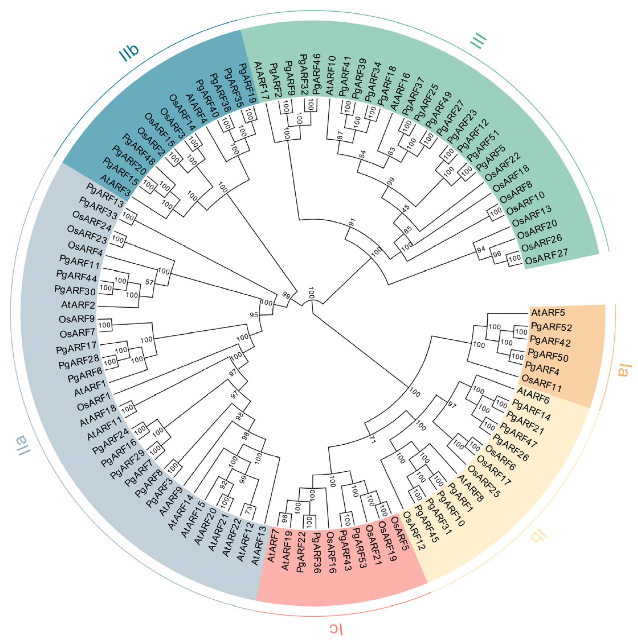 Plants 12 03943 g001