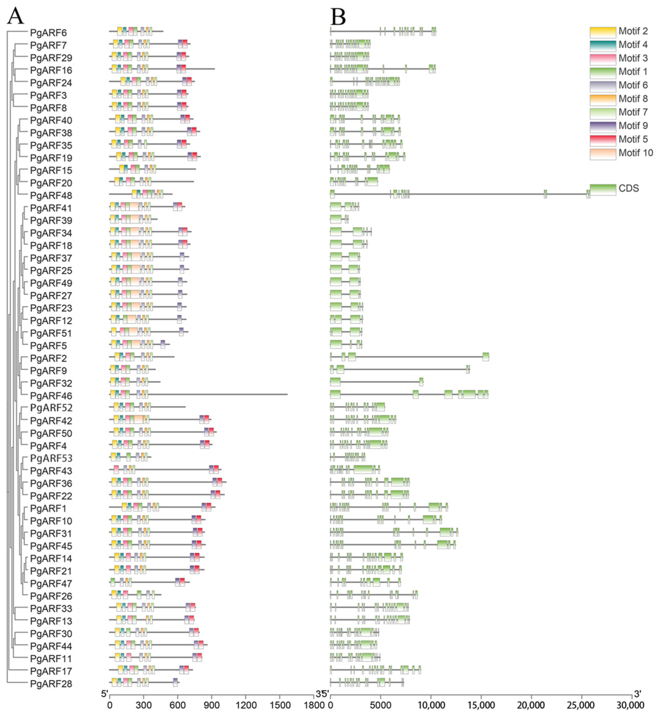 Plants 12 03943 g002
