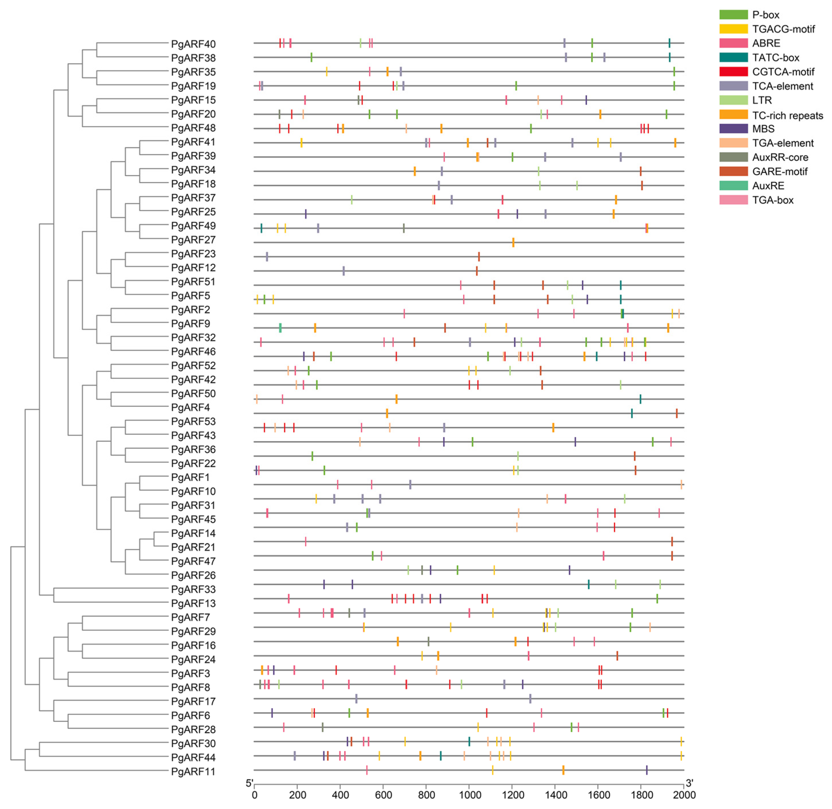 Plants 12 03943 g003