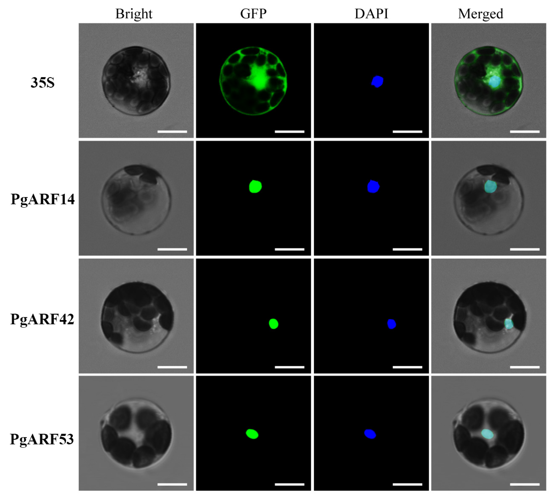 Plants 12 03943 g008