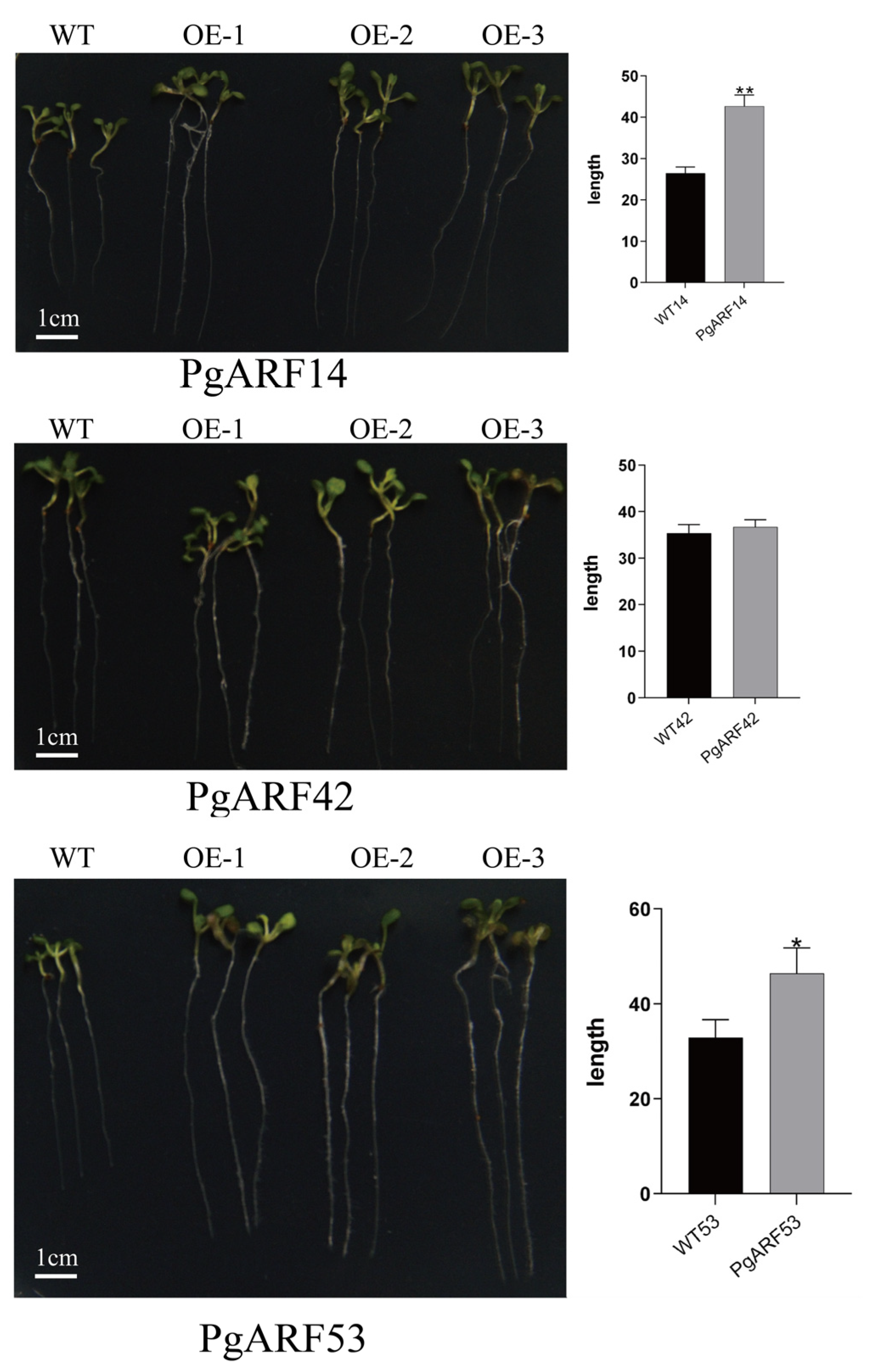 Plants 12 03943 g009
