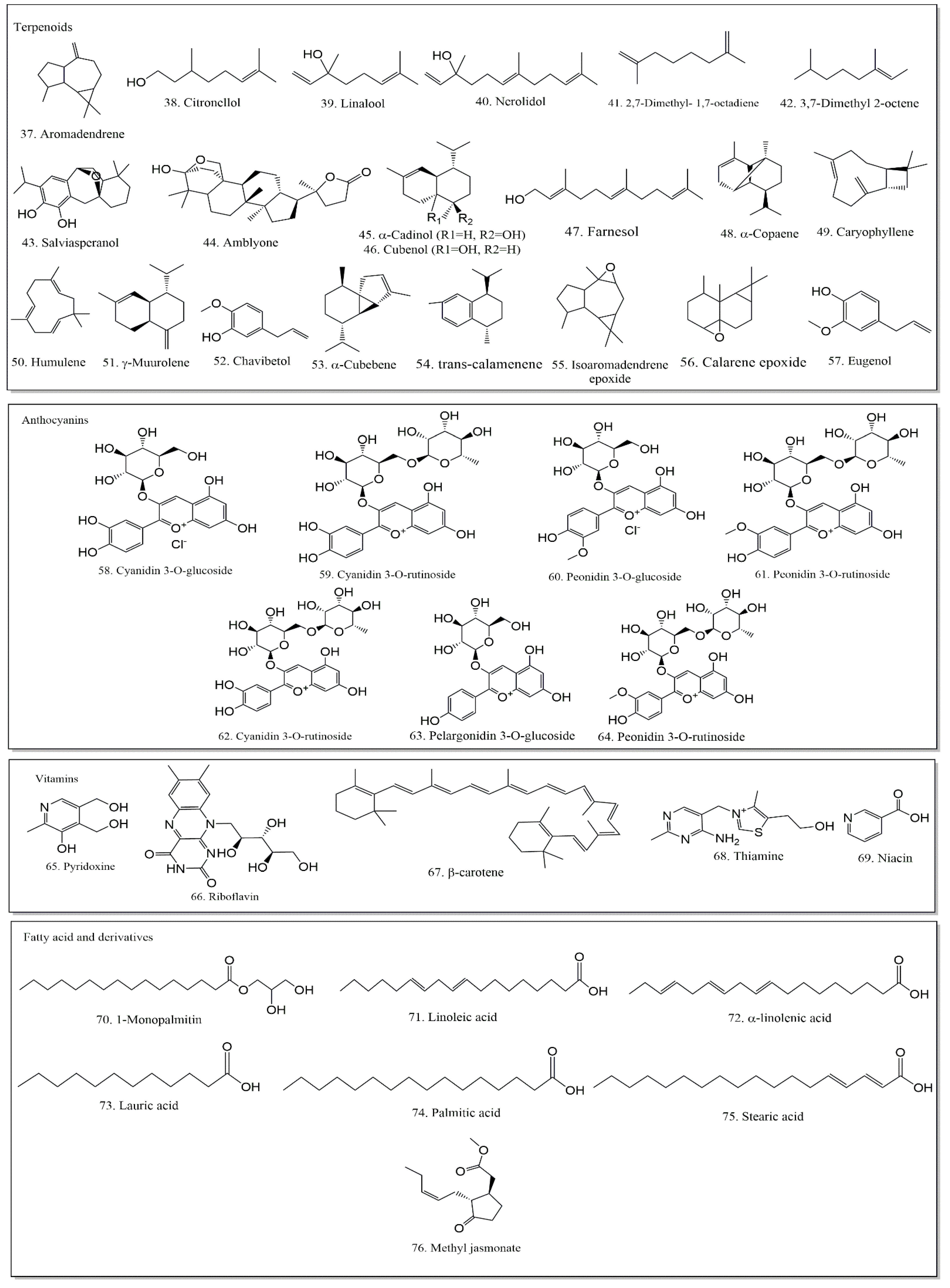 Plants 12 03945 g002b