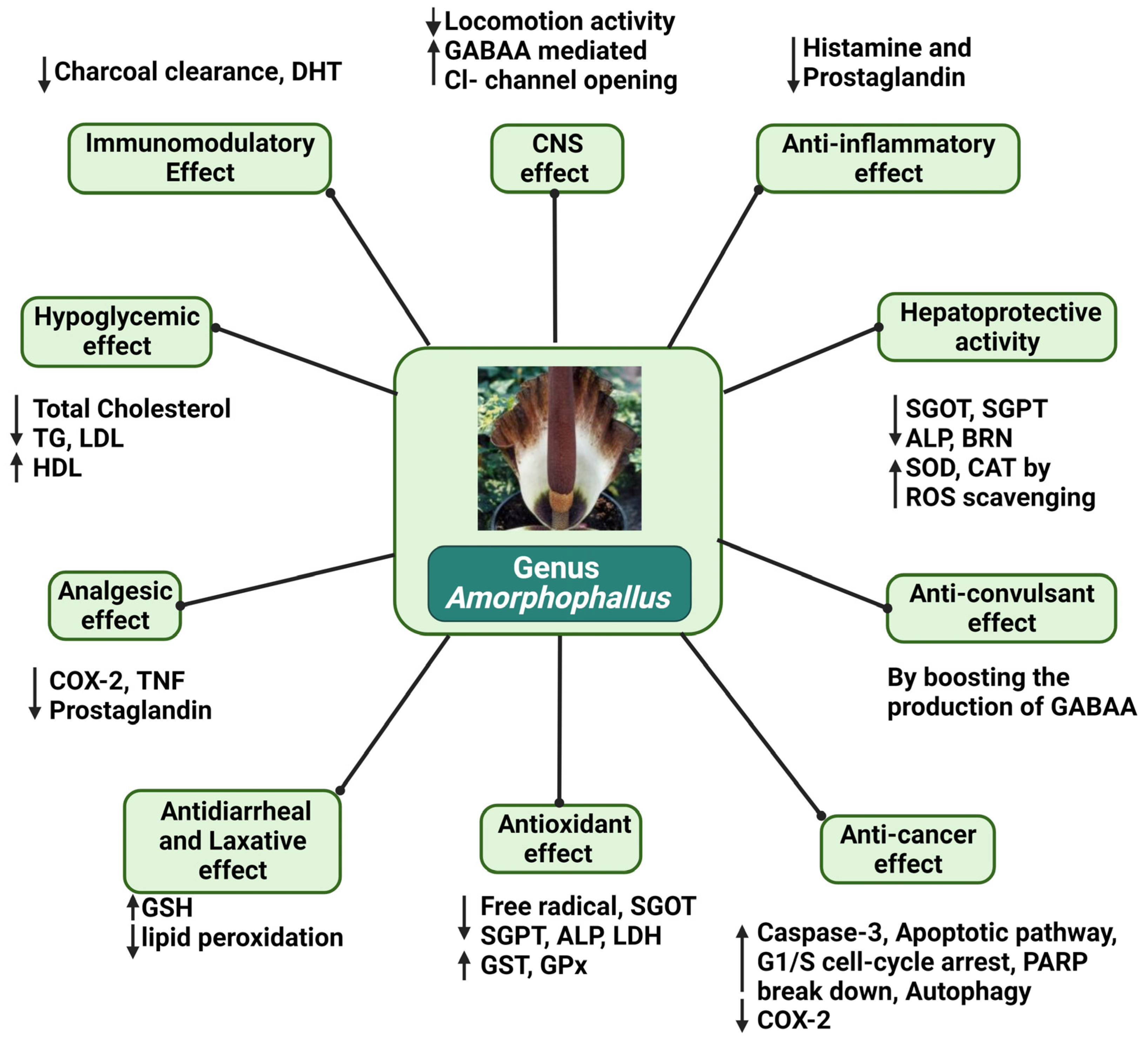Plants 12 03945 g004