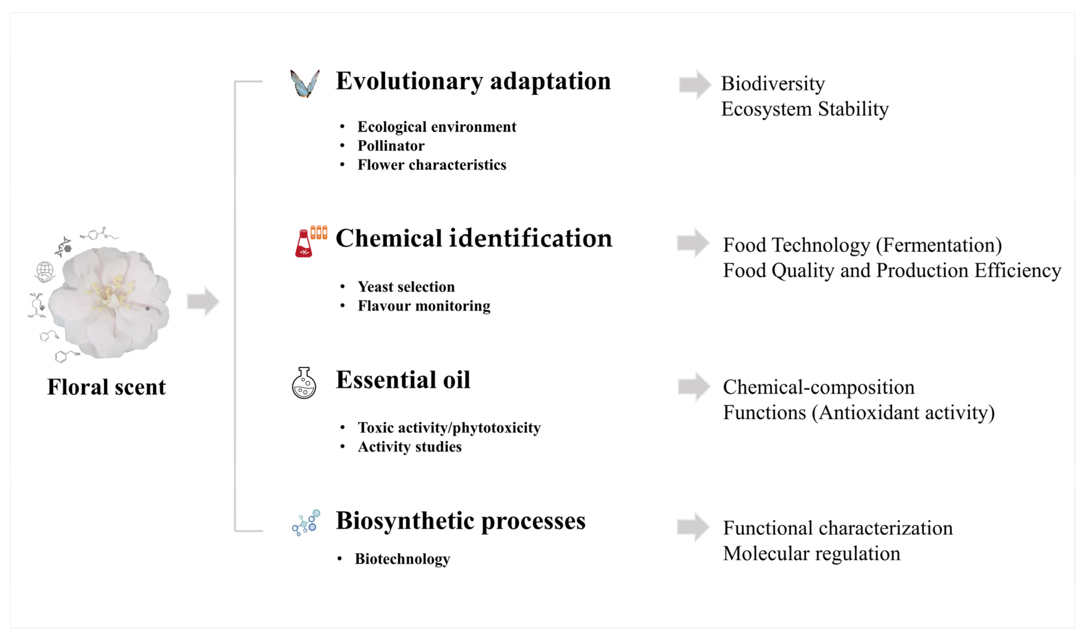 Plants 12 03947 g007