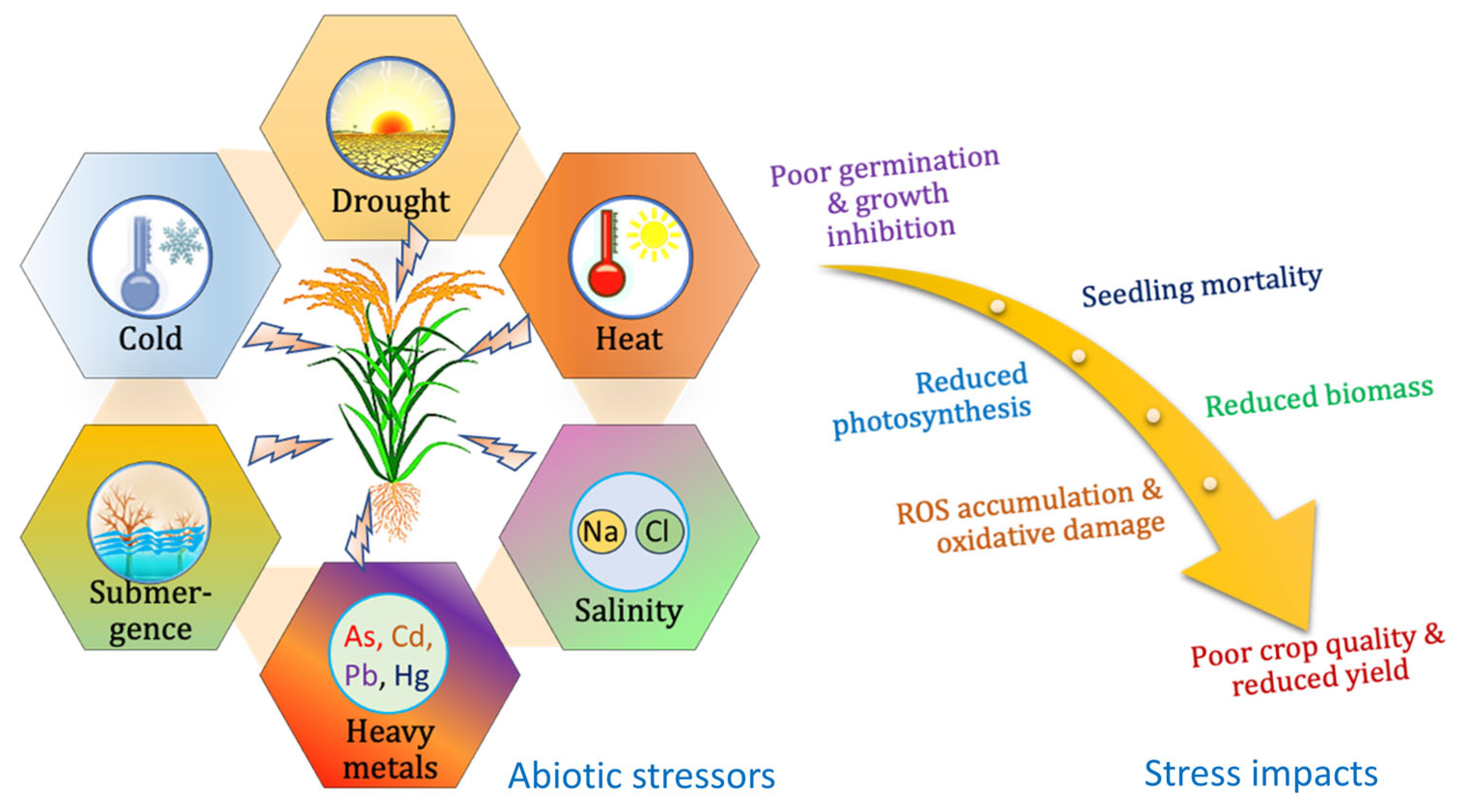 Plants 12 03948 g001 Plants 12 03948 g001