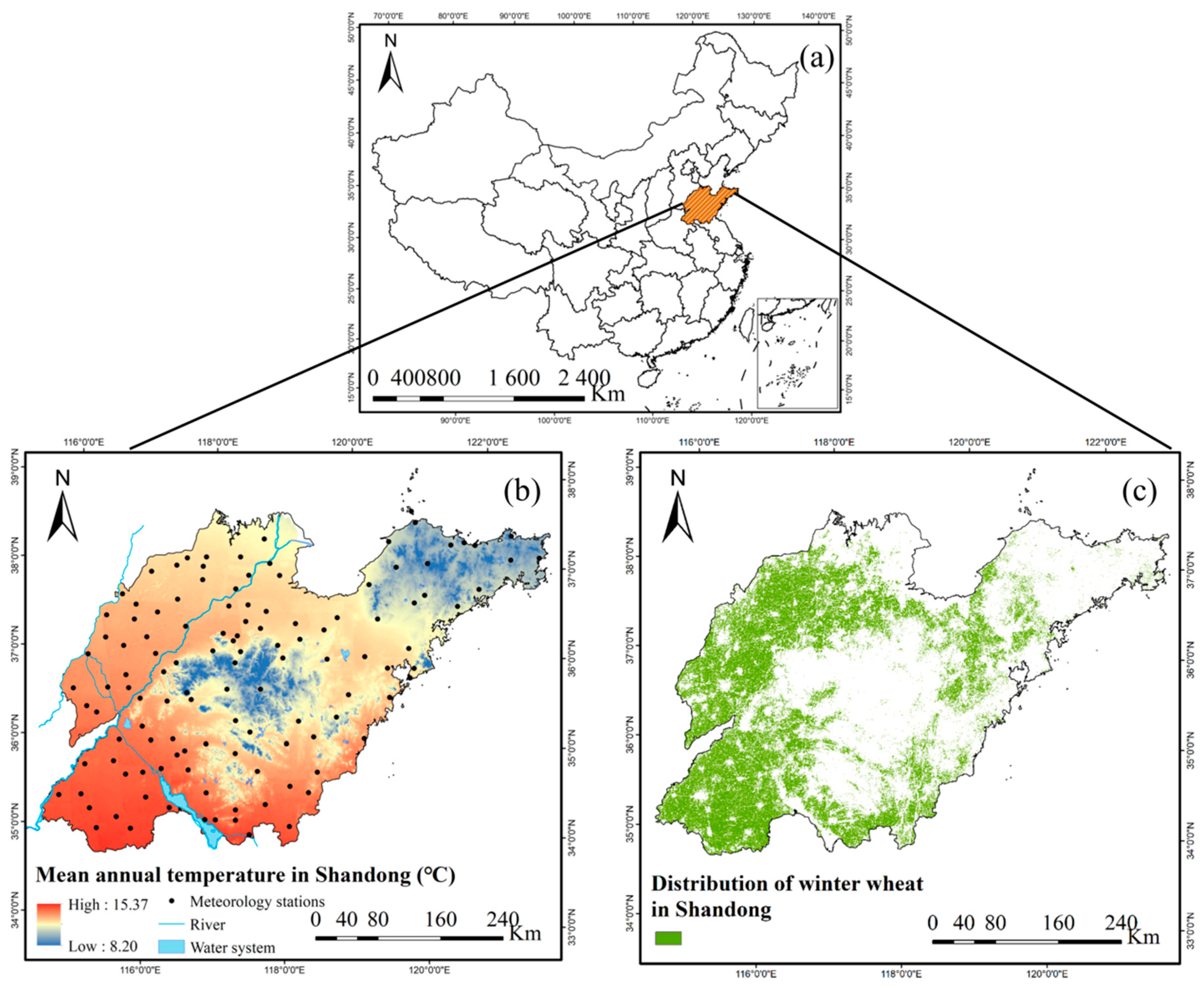 Plants 12 03954 g001