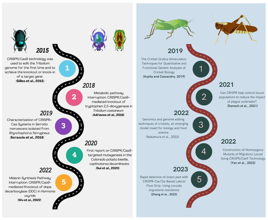 Unveiling the Genetic Symphony: Harnessing CRISPR-Cas Genome