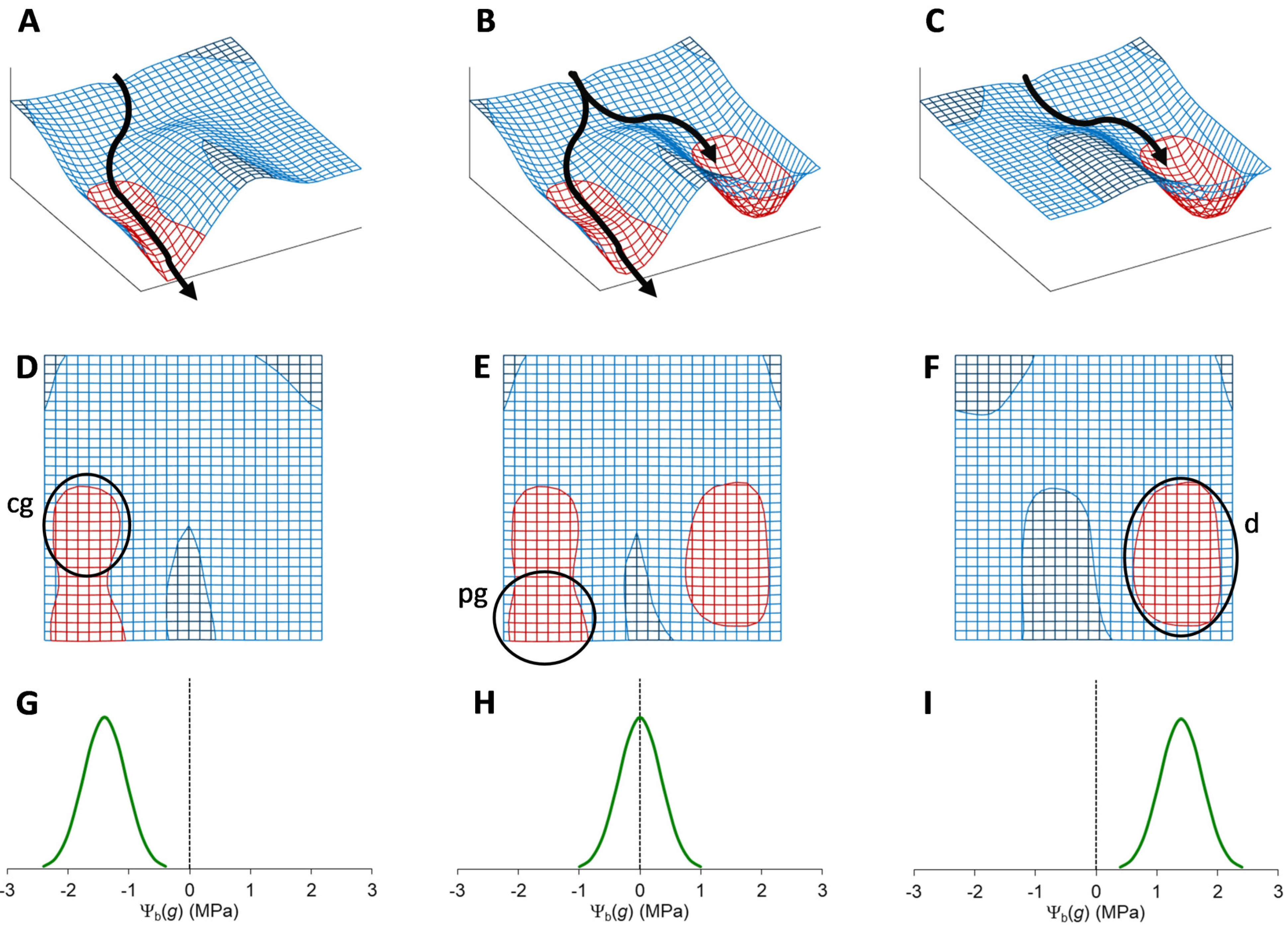 Plants 12 03963 g005