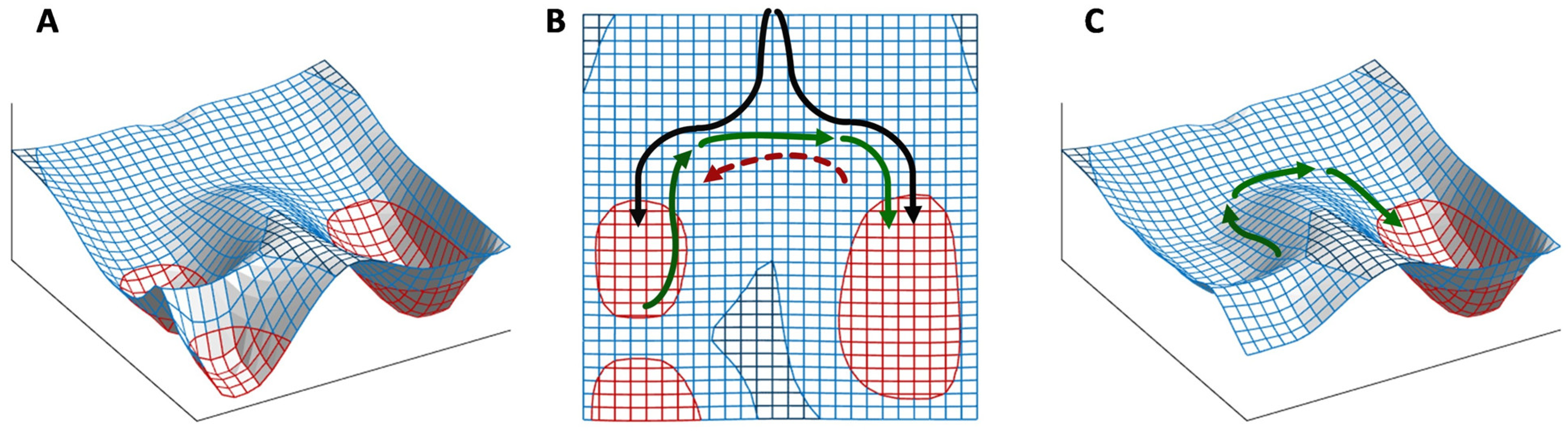Plants 12 03963 g008