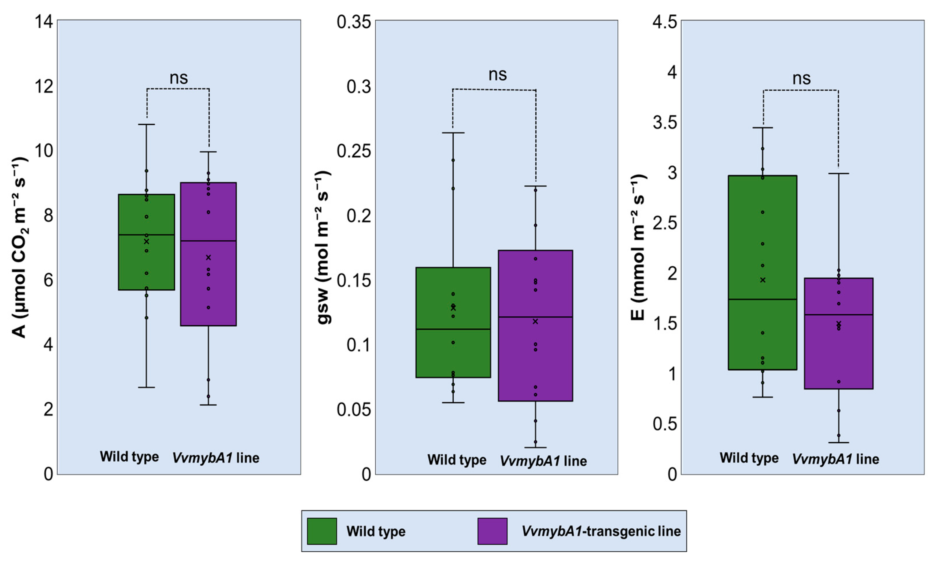 Plants 12 03965 g004 Plants 12 03965 g004