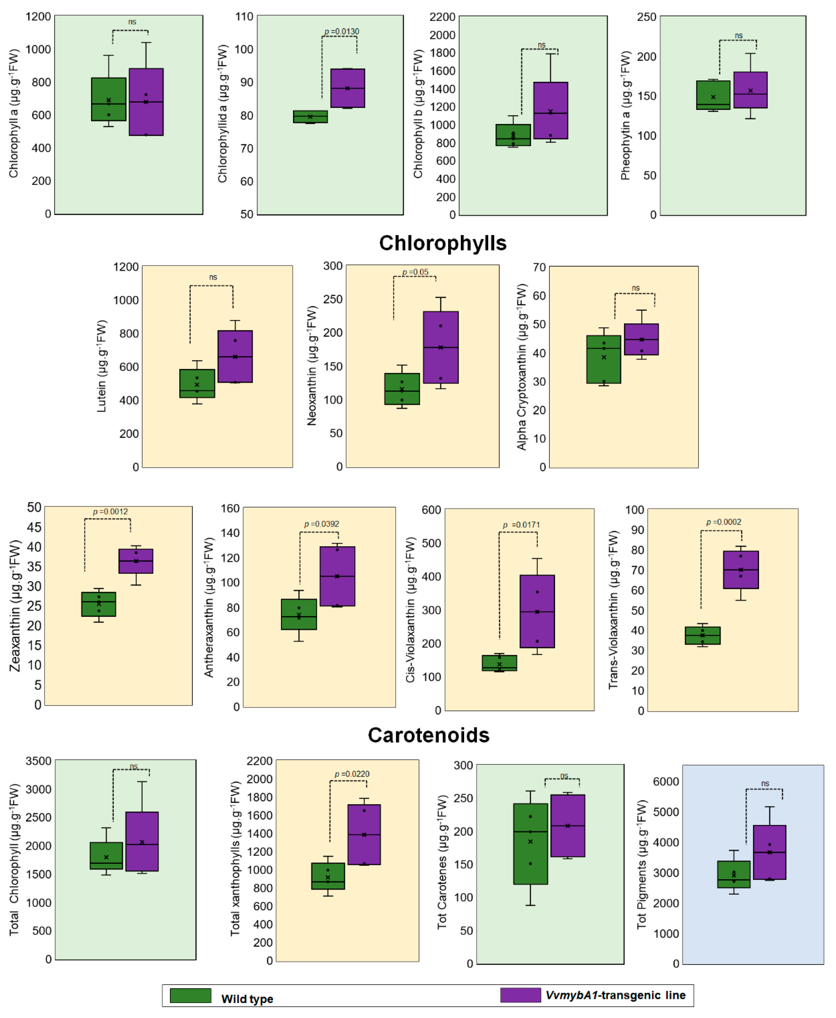 Plants 12 03965 g006 Plants 12 03965 g006