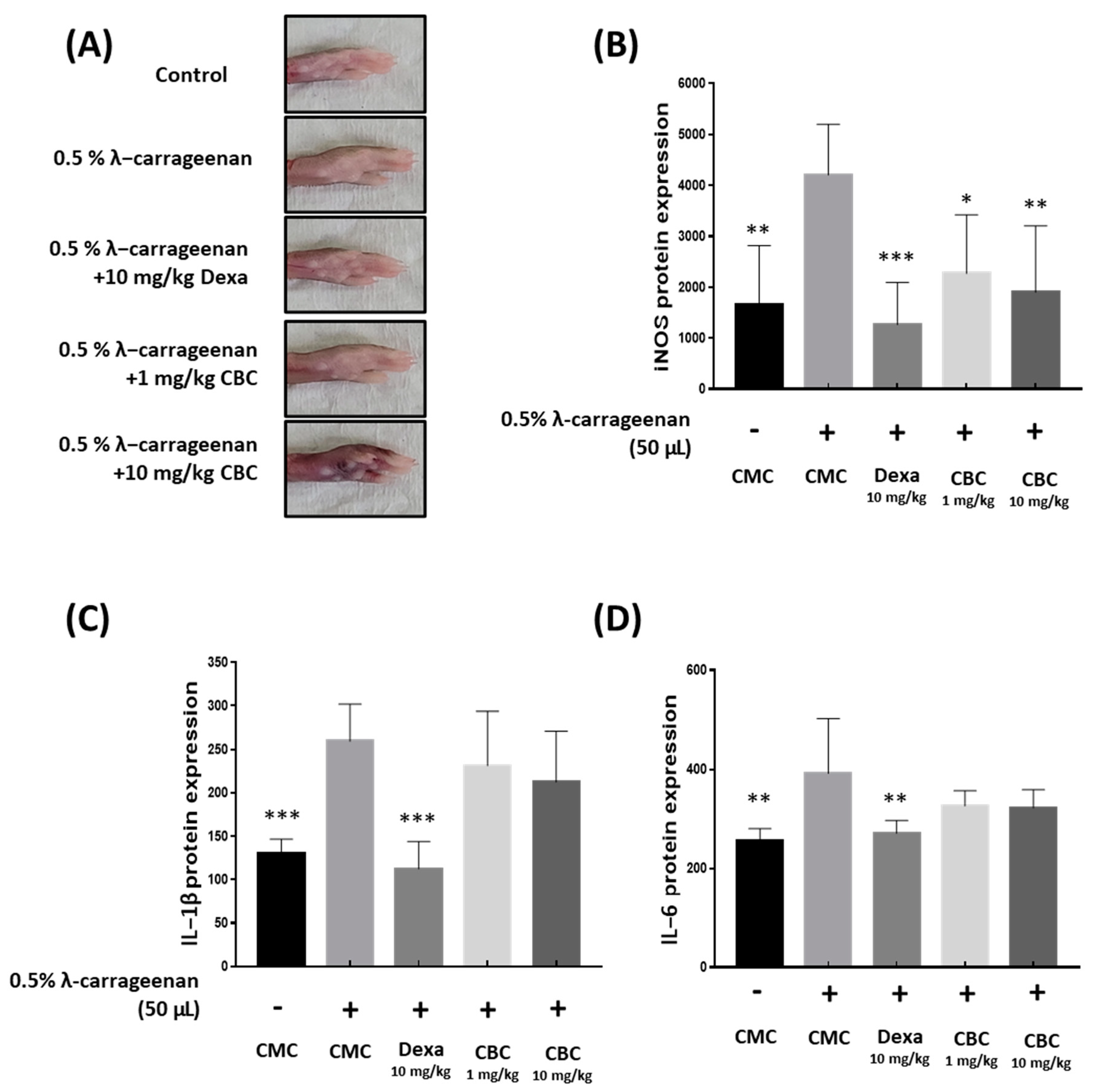 Plants 12 03966 g007