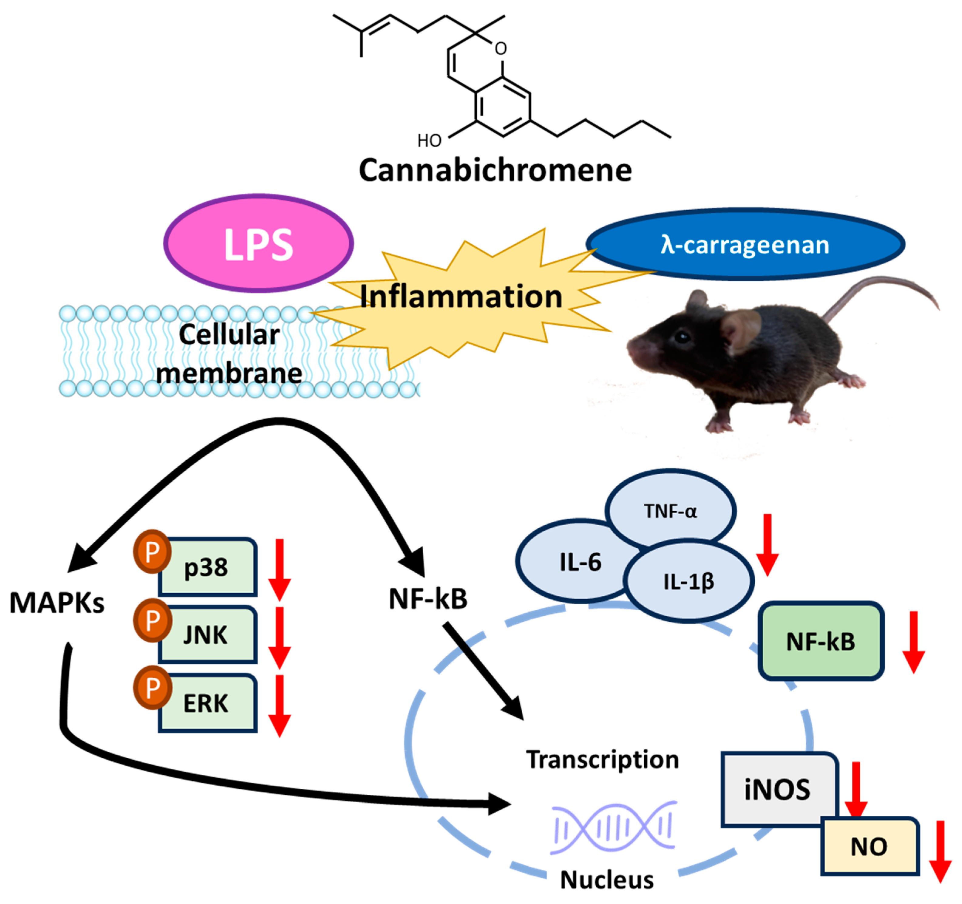 Plants 12 03966 g008