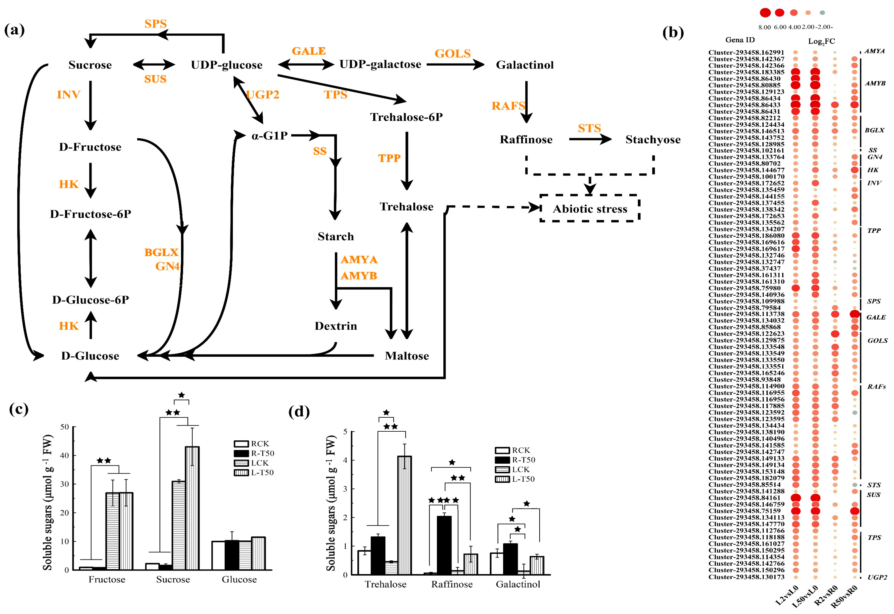 Plants 12 03971 g004
