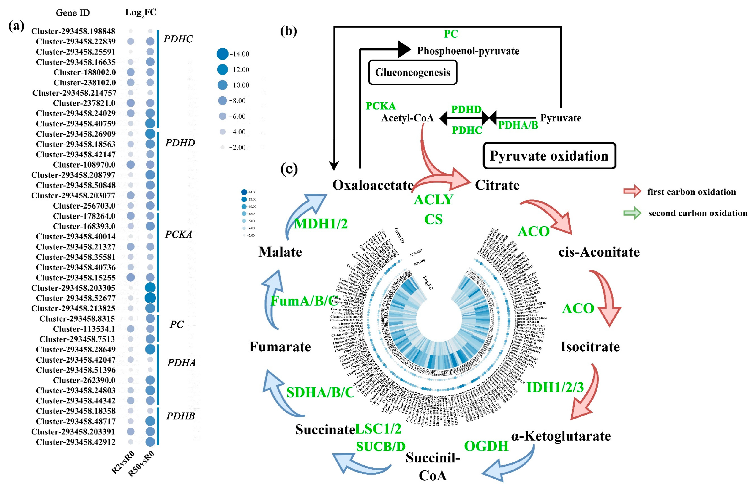 Plants 12 03971 g010