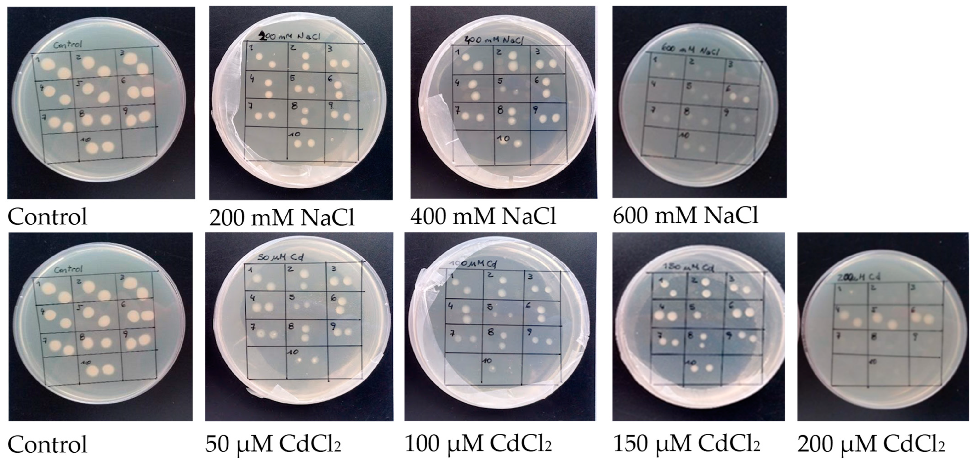 Plants 12 03972 g001