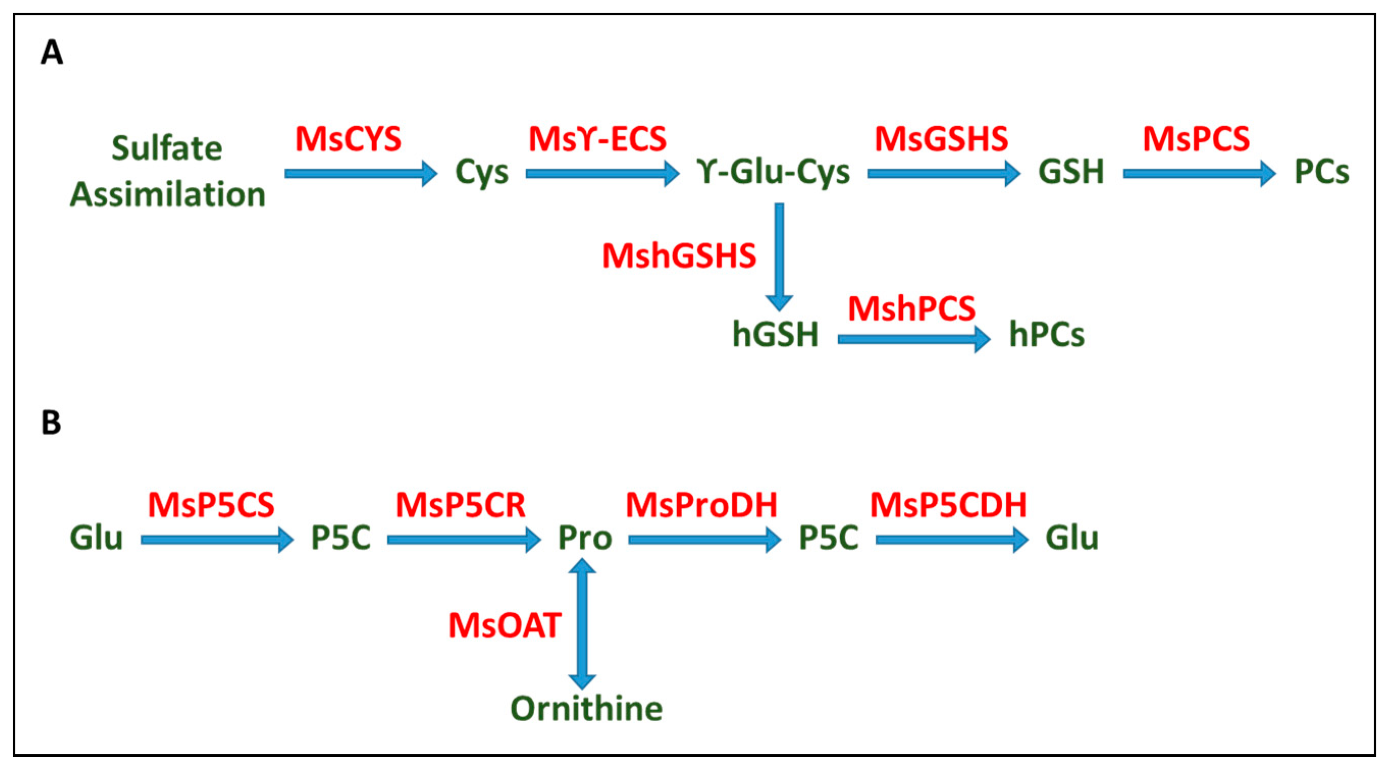 Plants 12 03972 g006