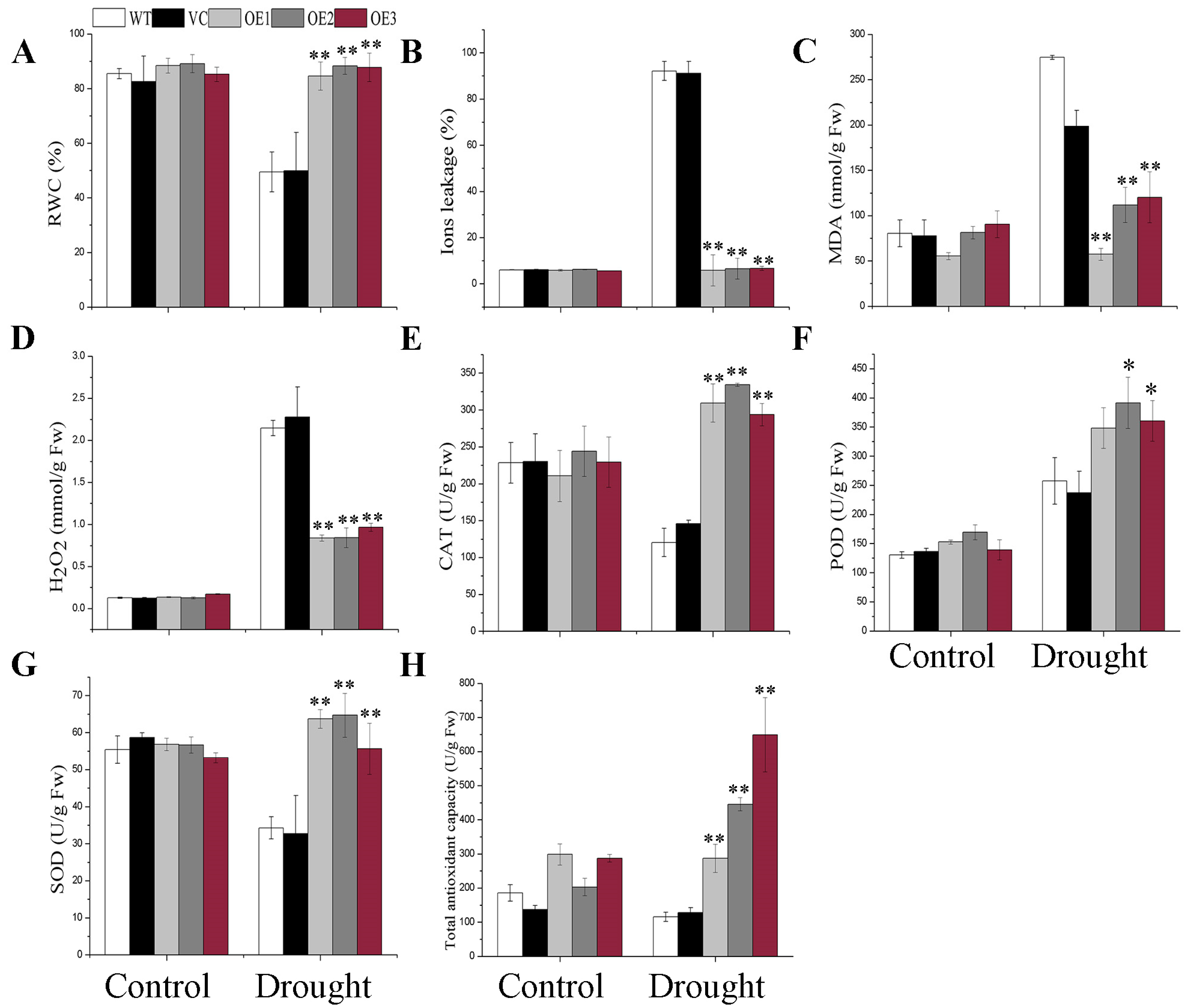 Plants 12 03975 g003 Plants 12 03975 g003
