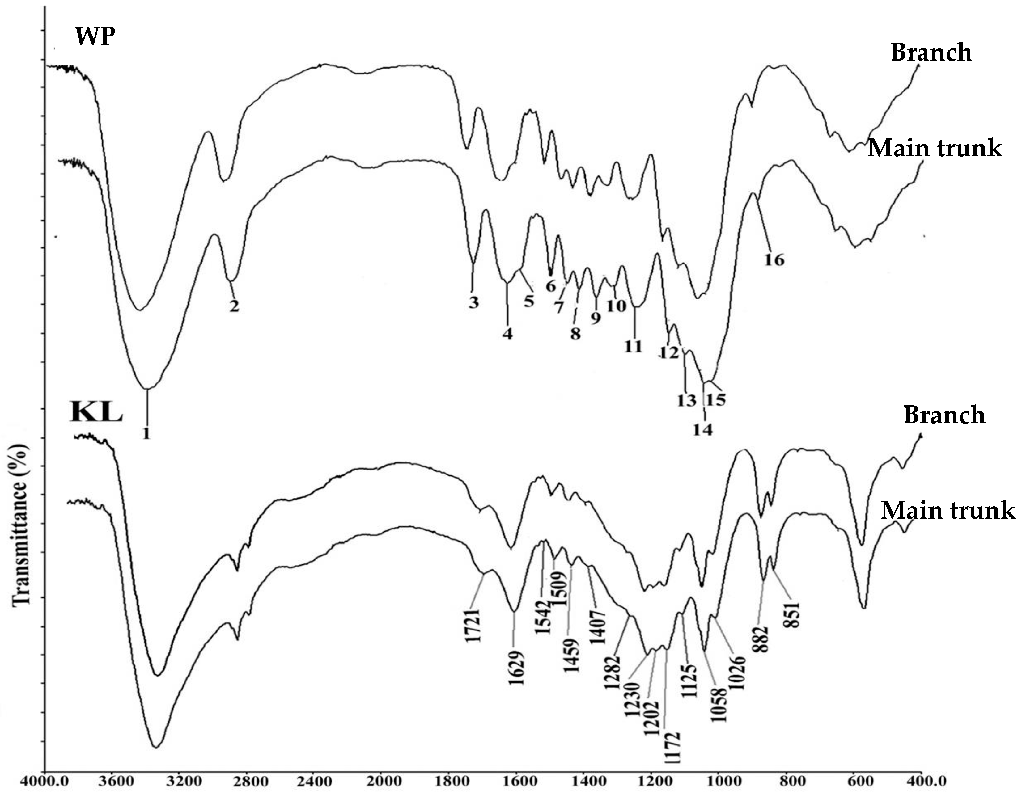 Plants 12 03977 g001