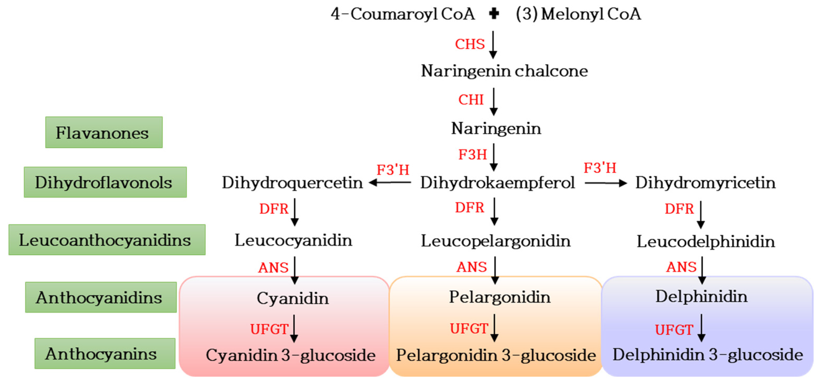 Plants 12 03983 g002