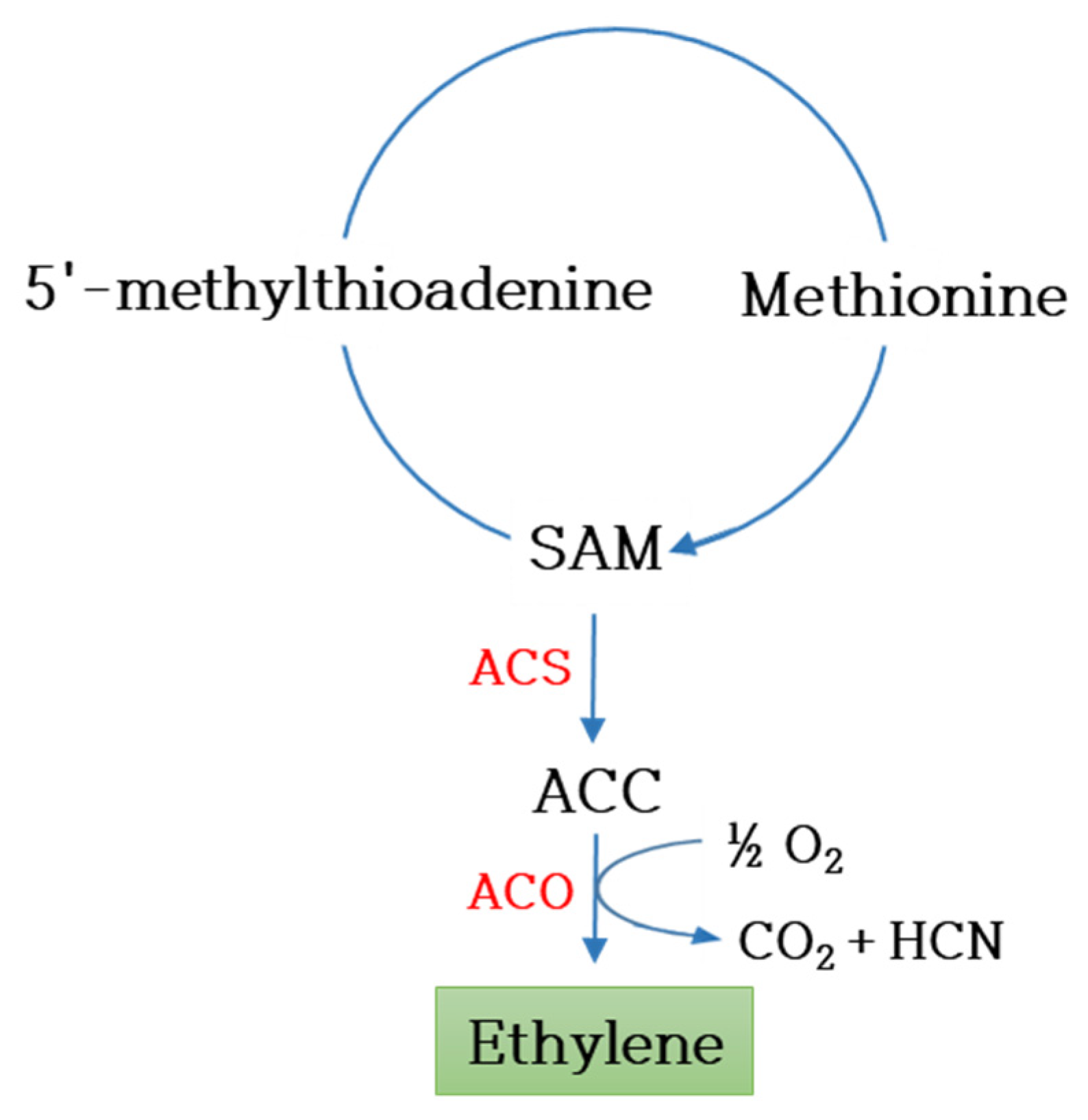 Plants 12 03983 g003