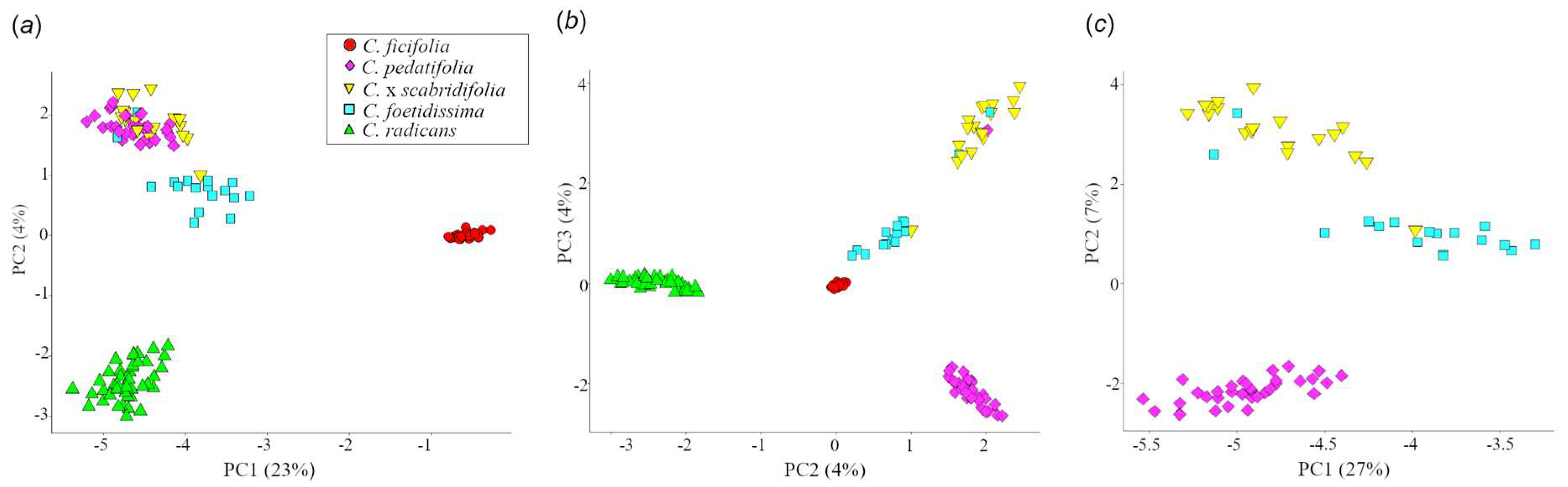 Plants 12 03989 g004 Plants 12 03989 g004