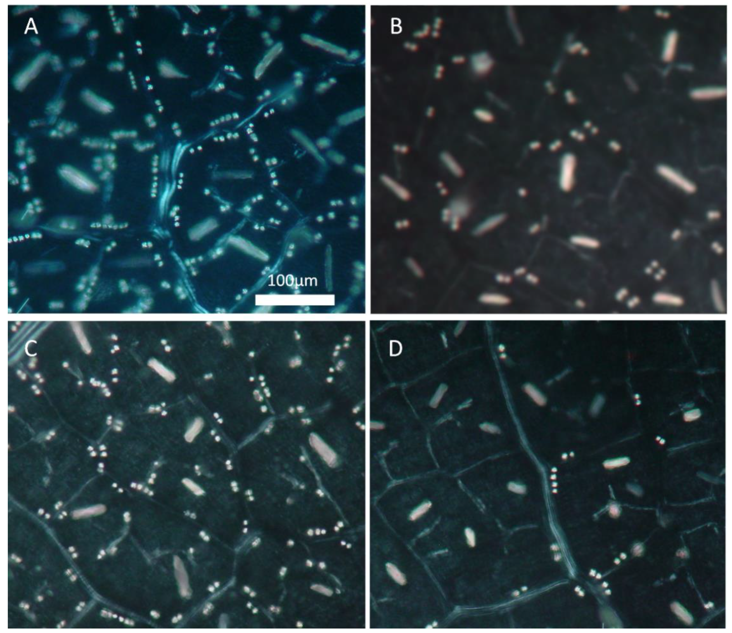 Plants 12 03992 g002