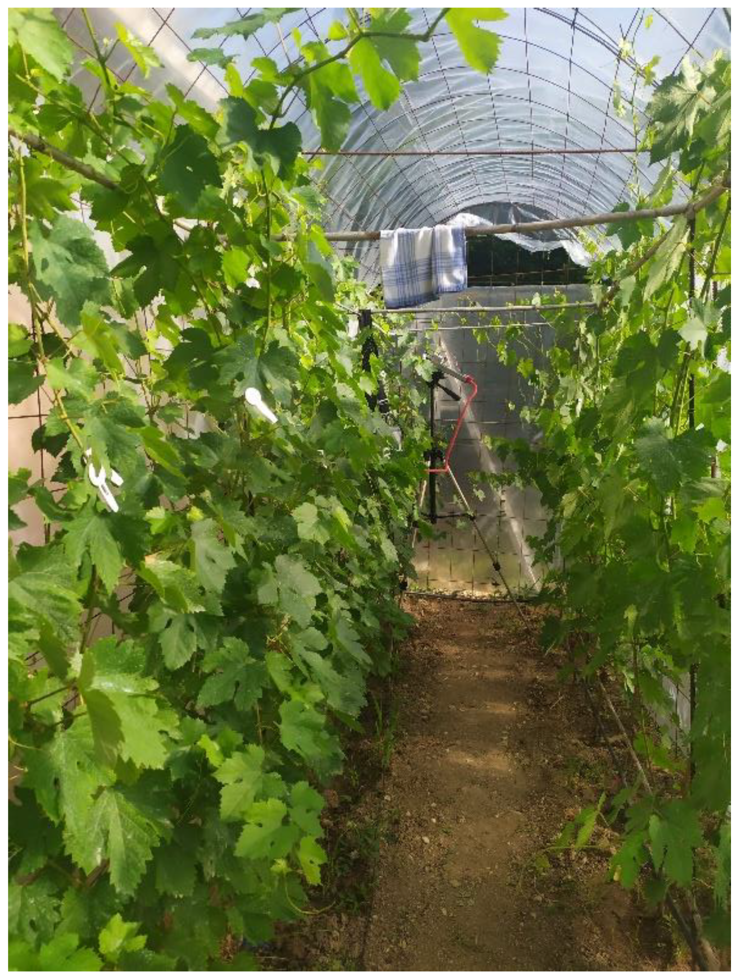 Plants 12 03992 g003