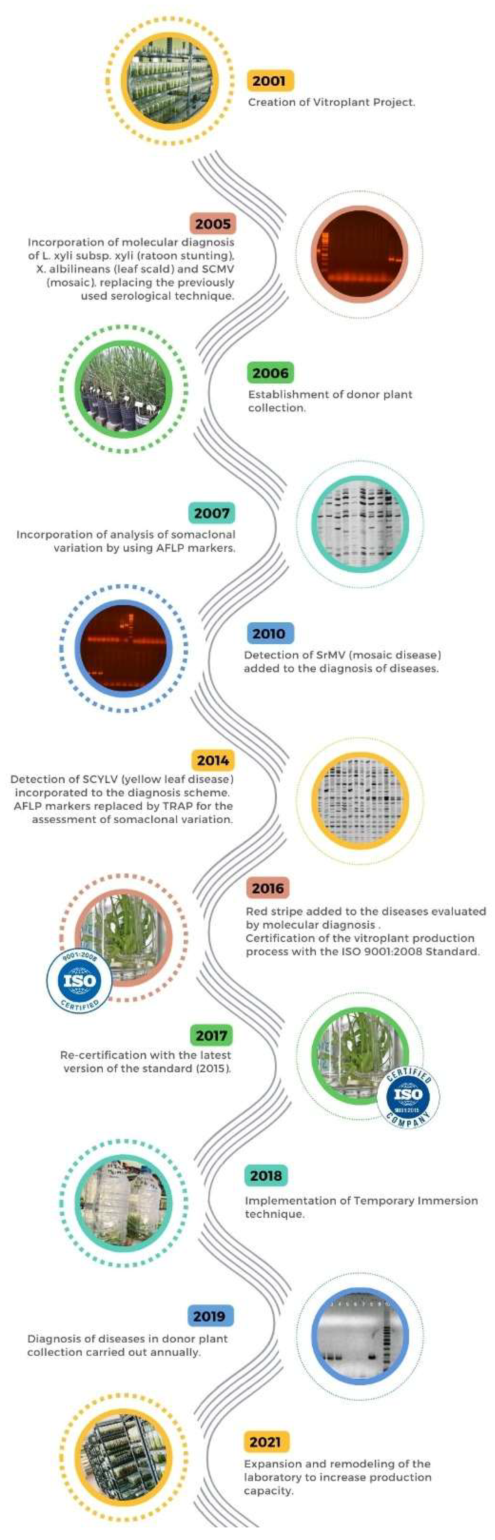 Plants 12 03994 g002