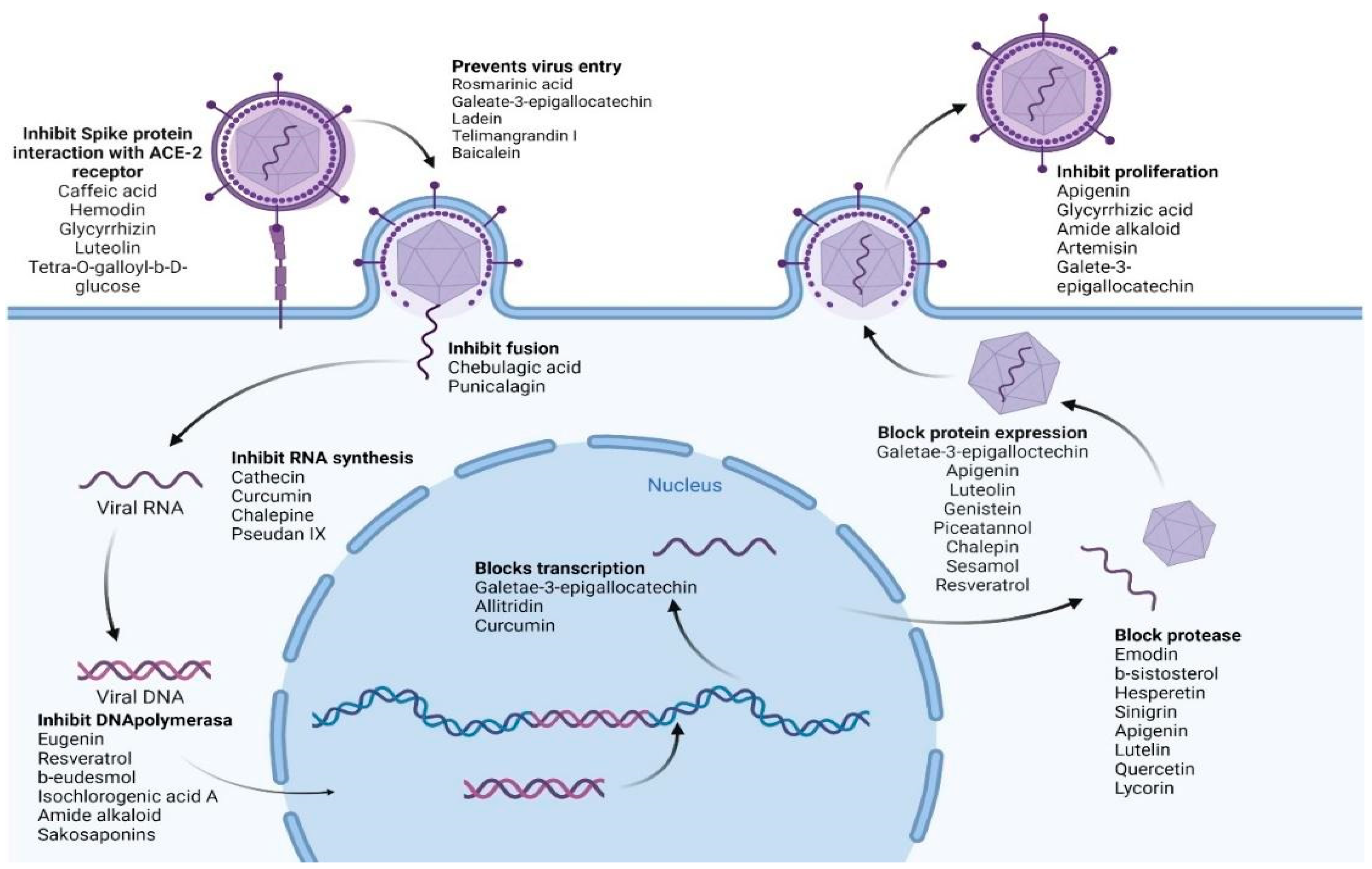 Plants 12 03997 g004 Plants 12 03997 g004