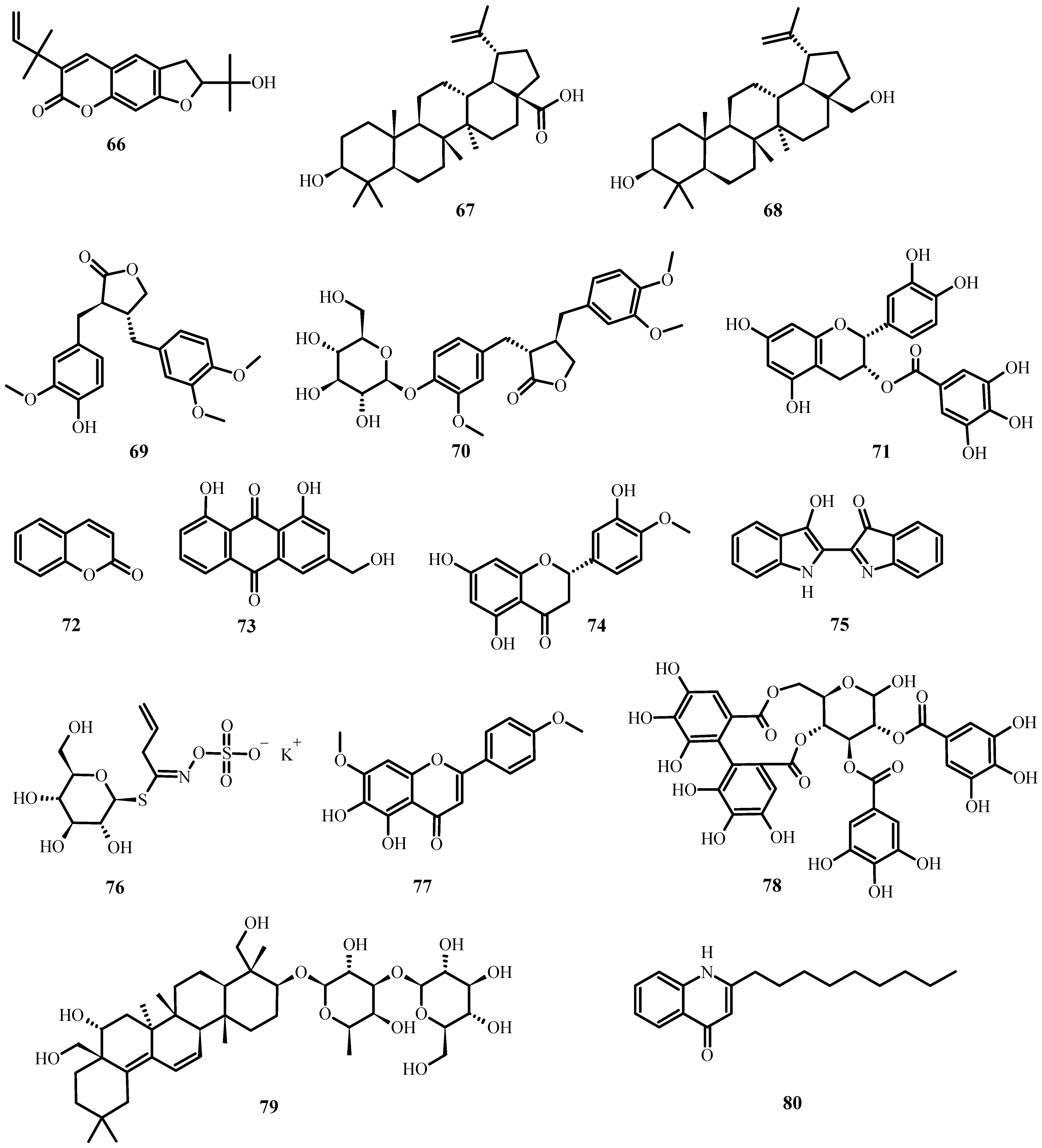 Plants 12 03997 g007 Plants 12 03997 g007